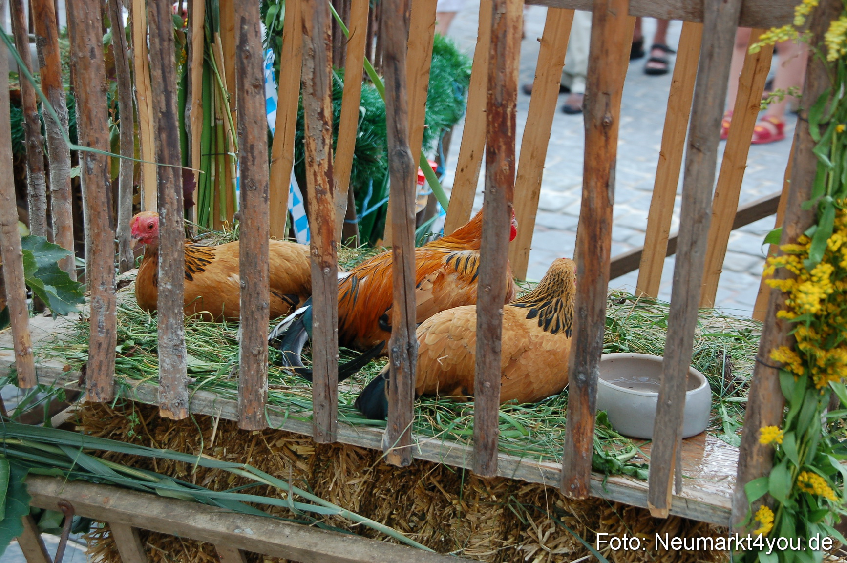 0269 Volksfestzug Neumarkt 090809