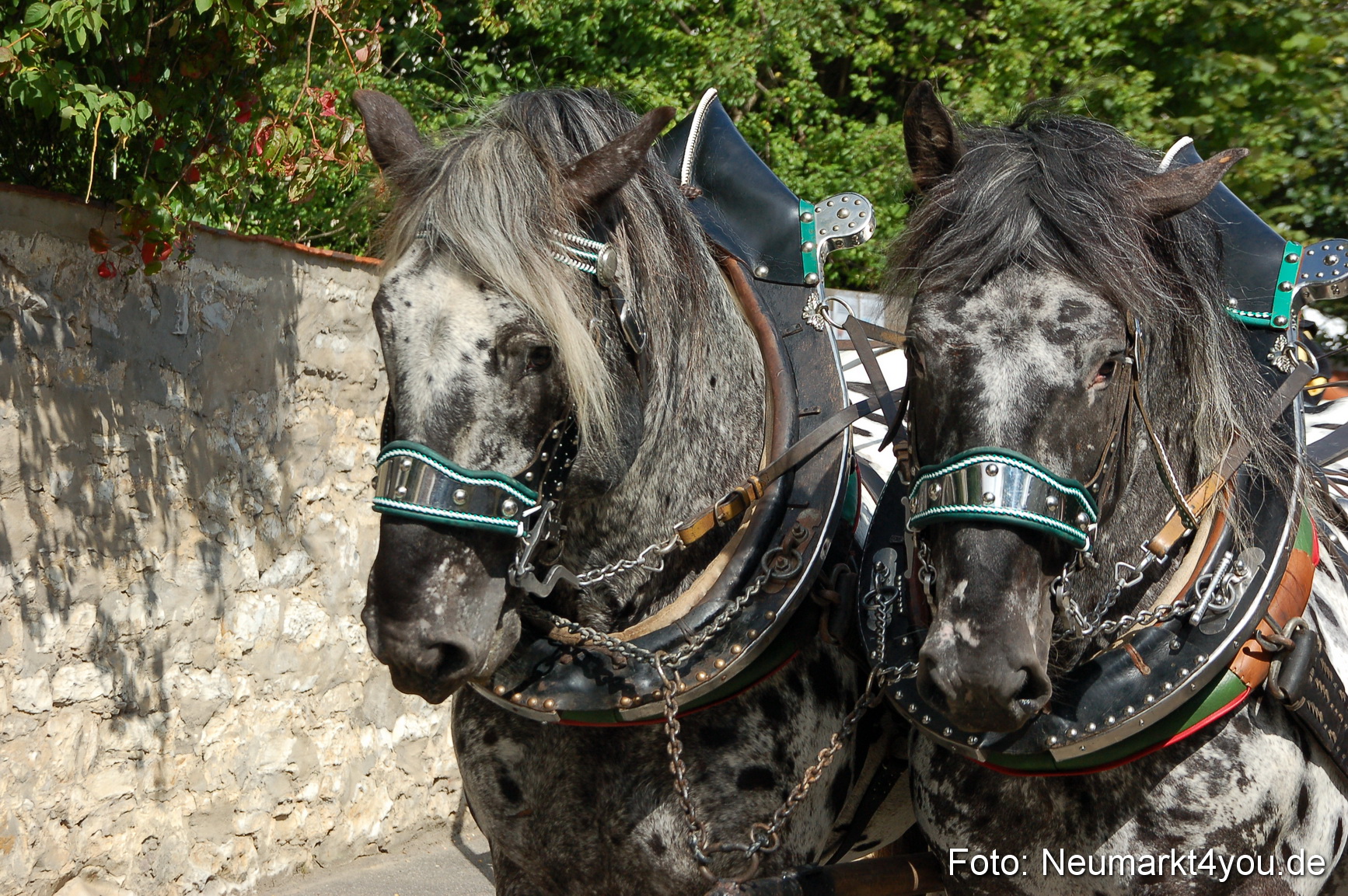 0029 Tillyfest 130909