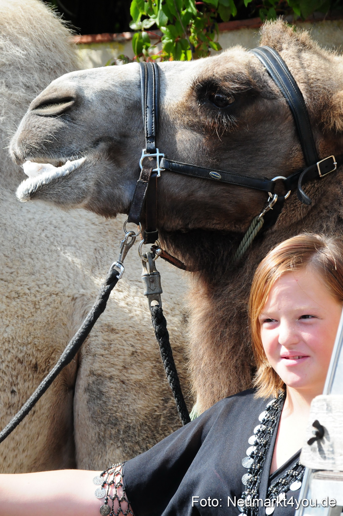 0034 Tillyfest 130909