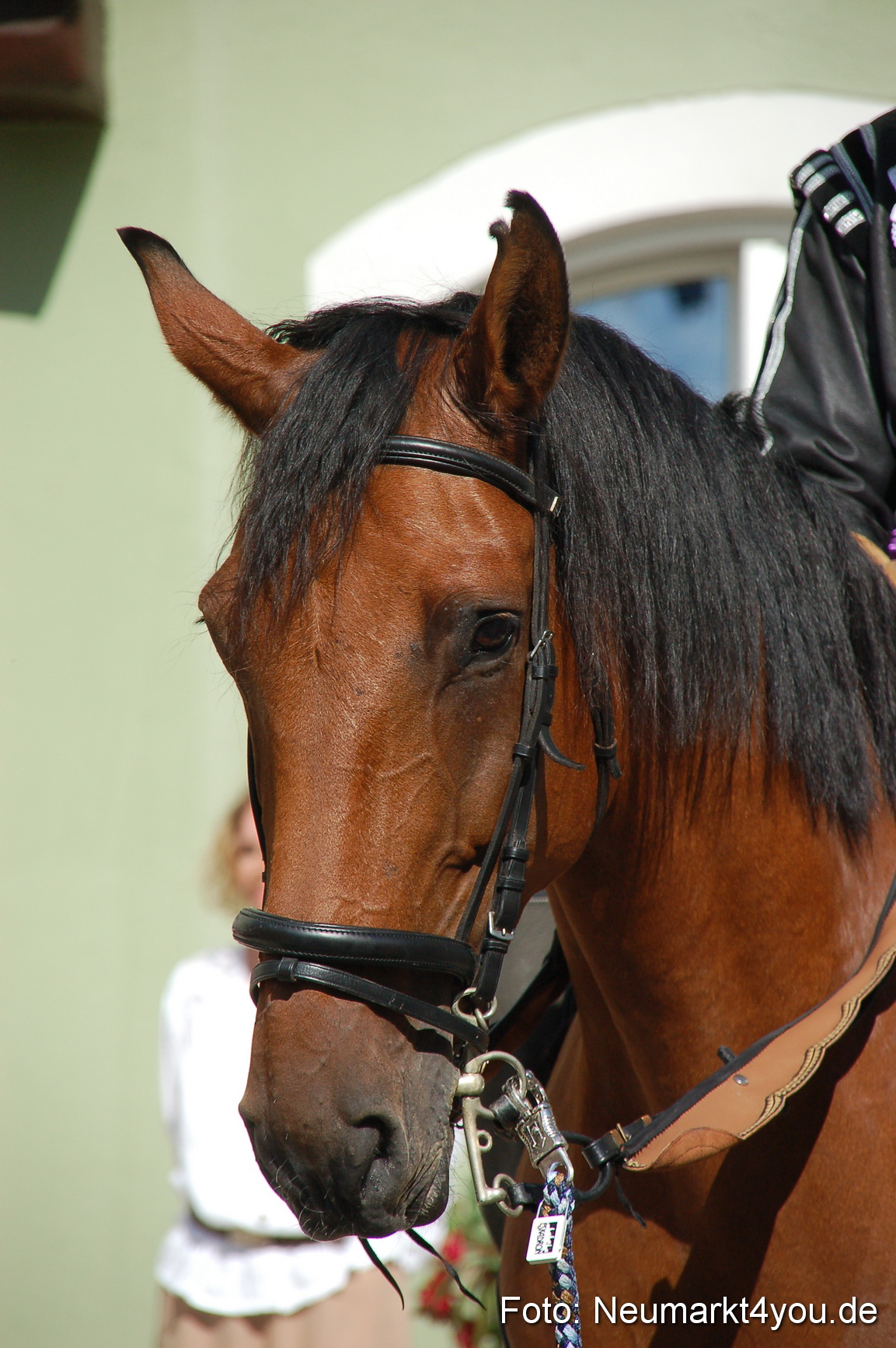 0205 Tillyfest 130909