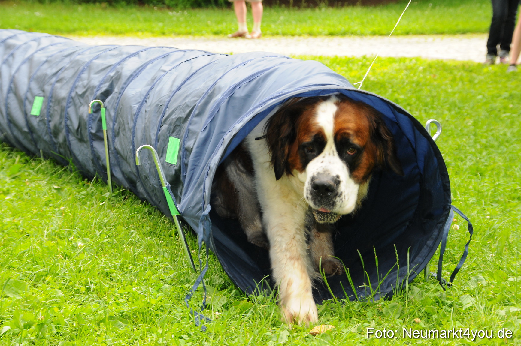 Altstadtfest Neumarkt 2010 0086