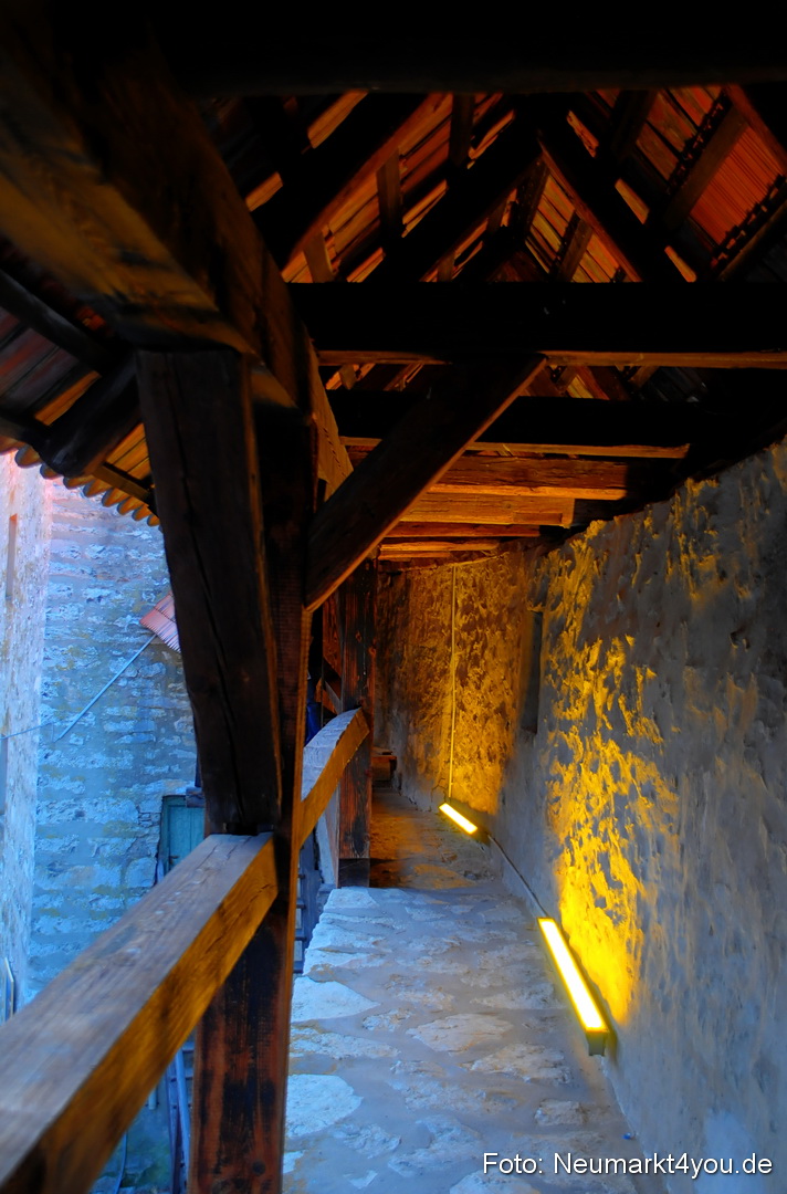 Berchinale Berching 300710 0011