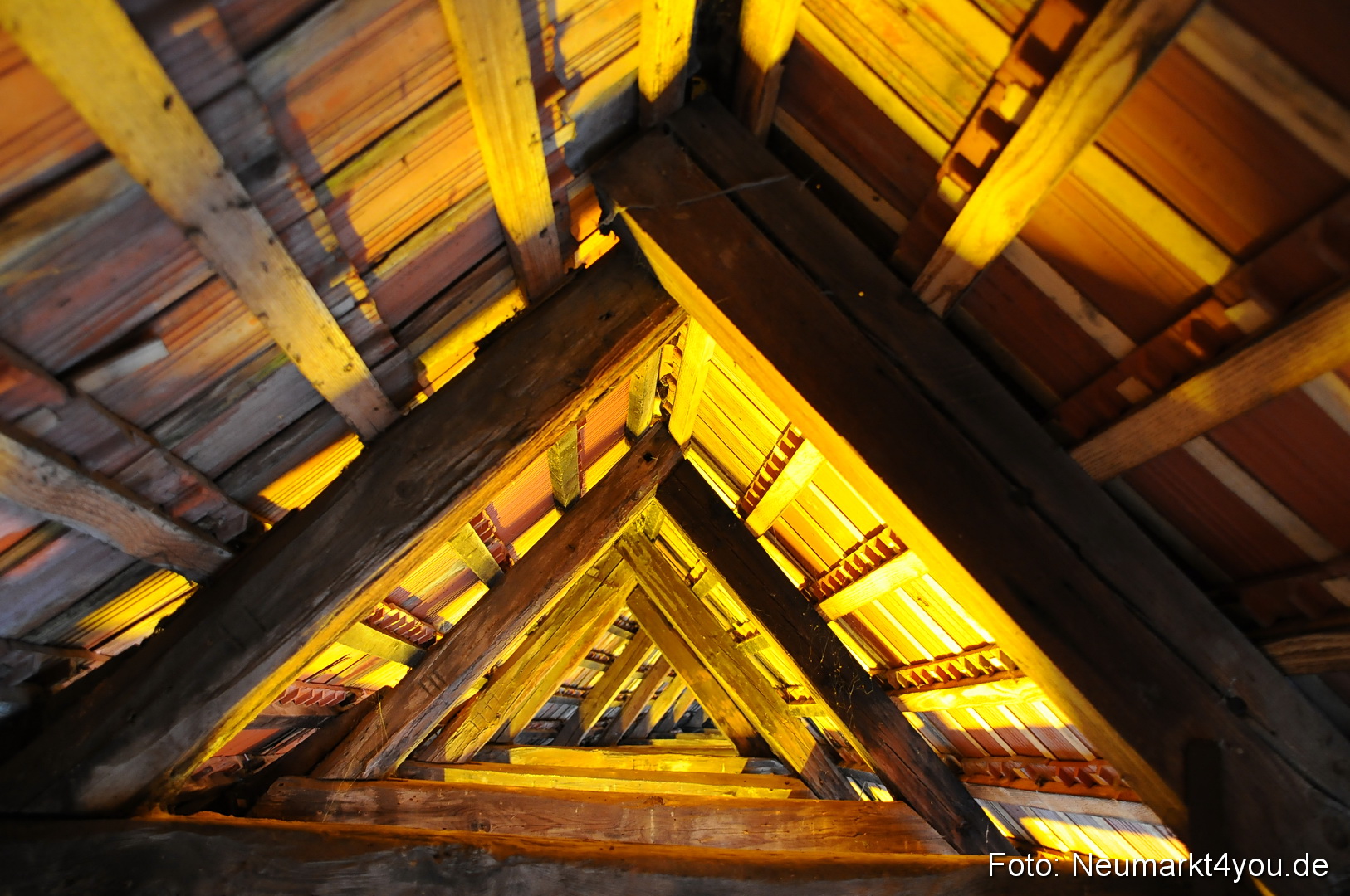 Berchinale Berching 300710 0013