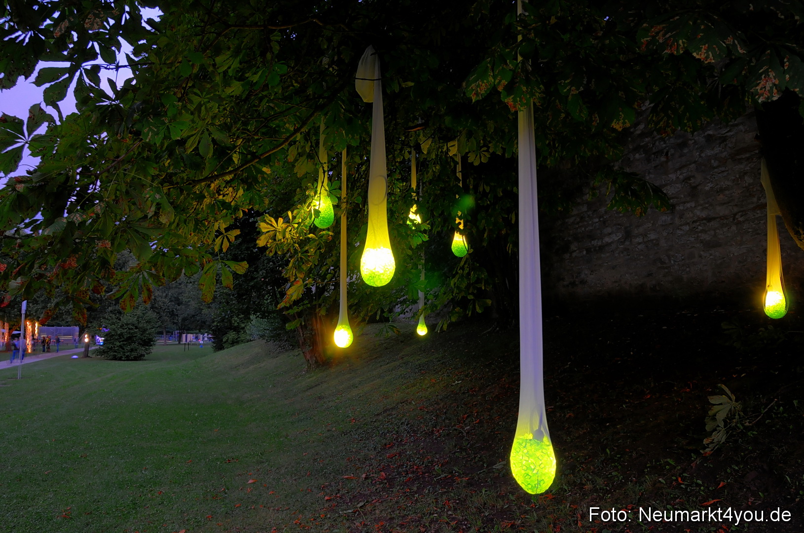 Berchinale Berching 300710 0018