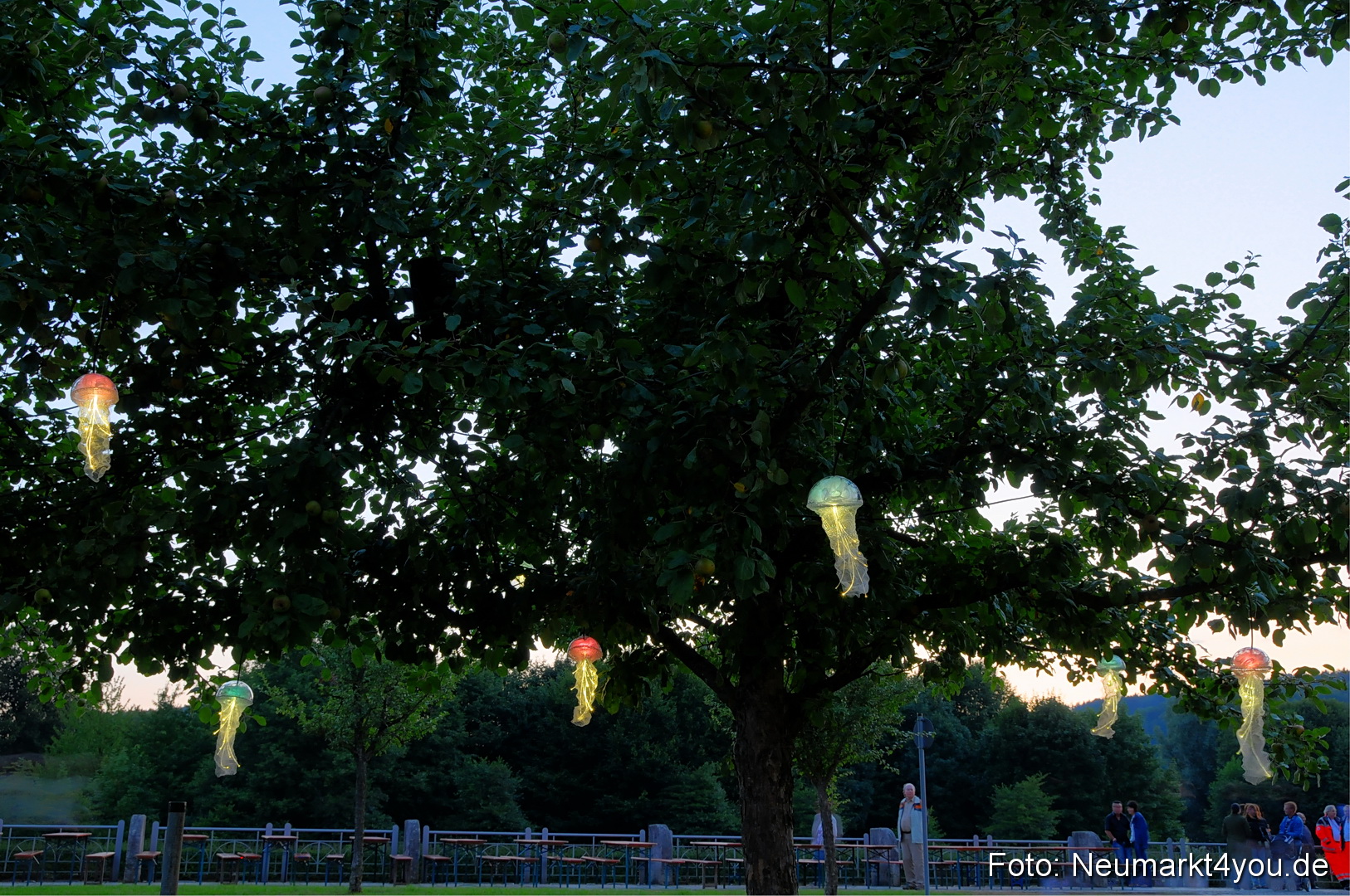 Berchinale Berching 300710 0021