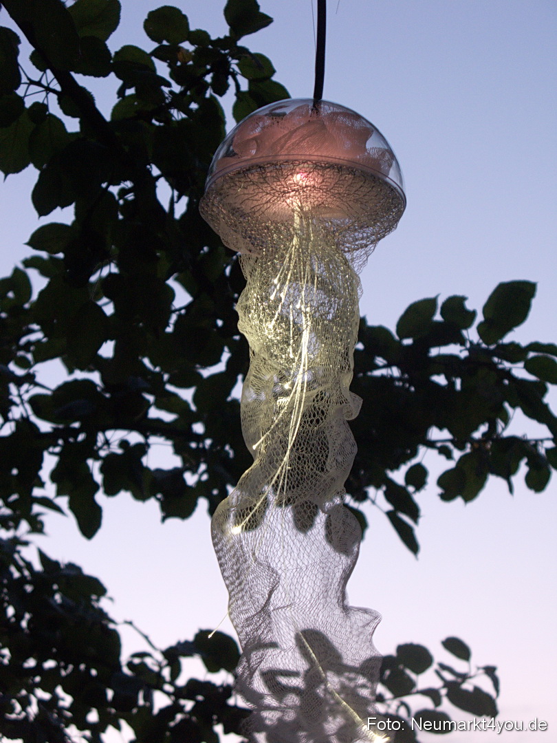 Berchinale Berching 300710 0022