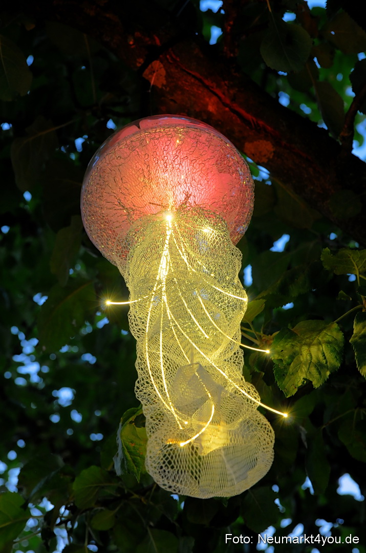 Berchinale Berching 300710 0023