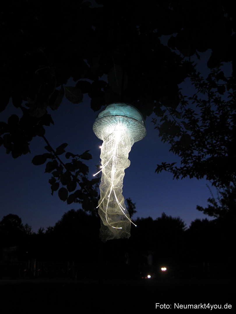 Berchinale Berching 300710 0024