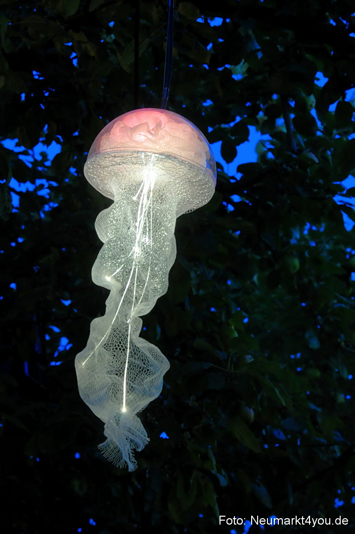 Berchinale Berching 300710 0025