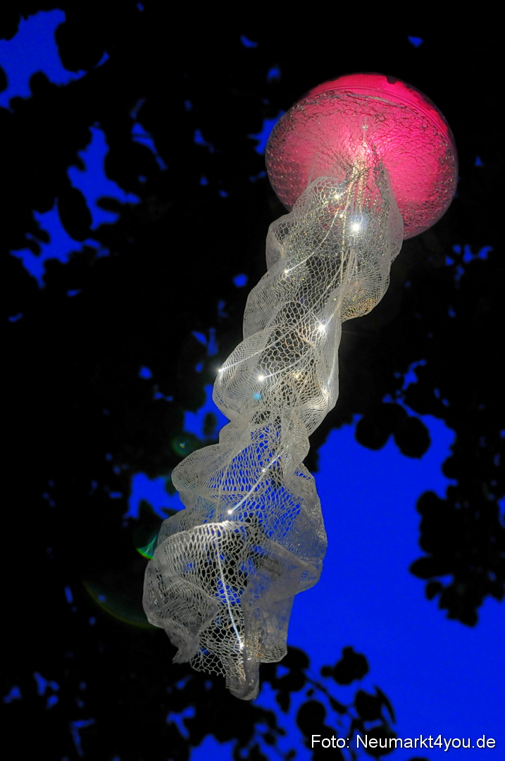 Berchinale Berching 300710 0026