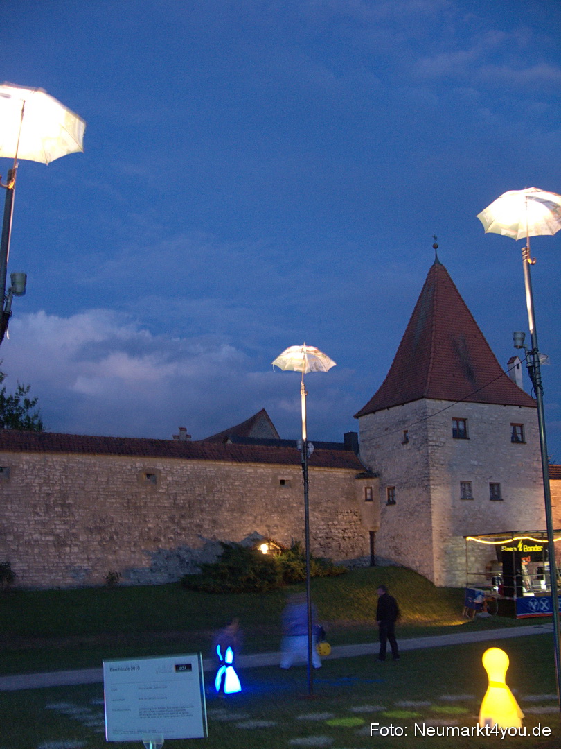 Berchinale Berching 300710 0035