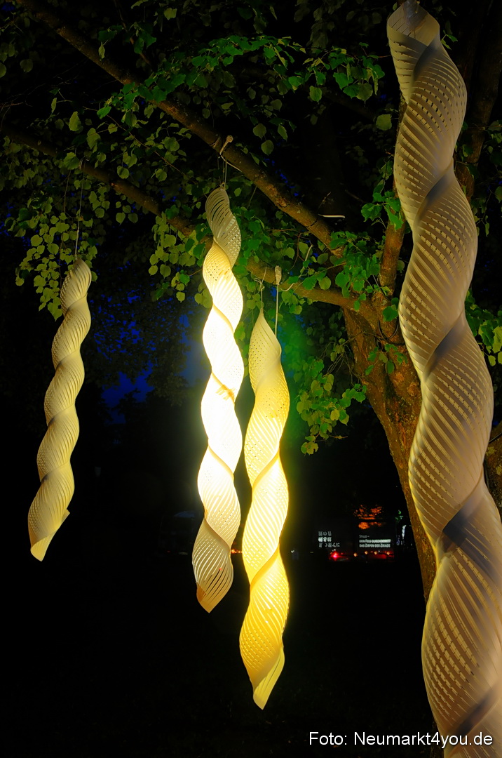 Berchinale Berching 300710 0056