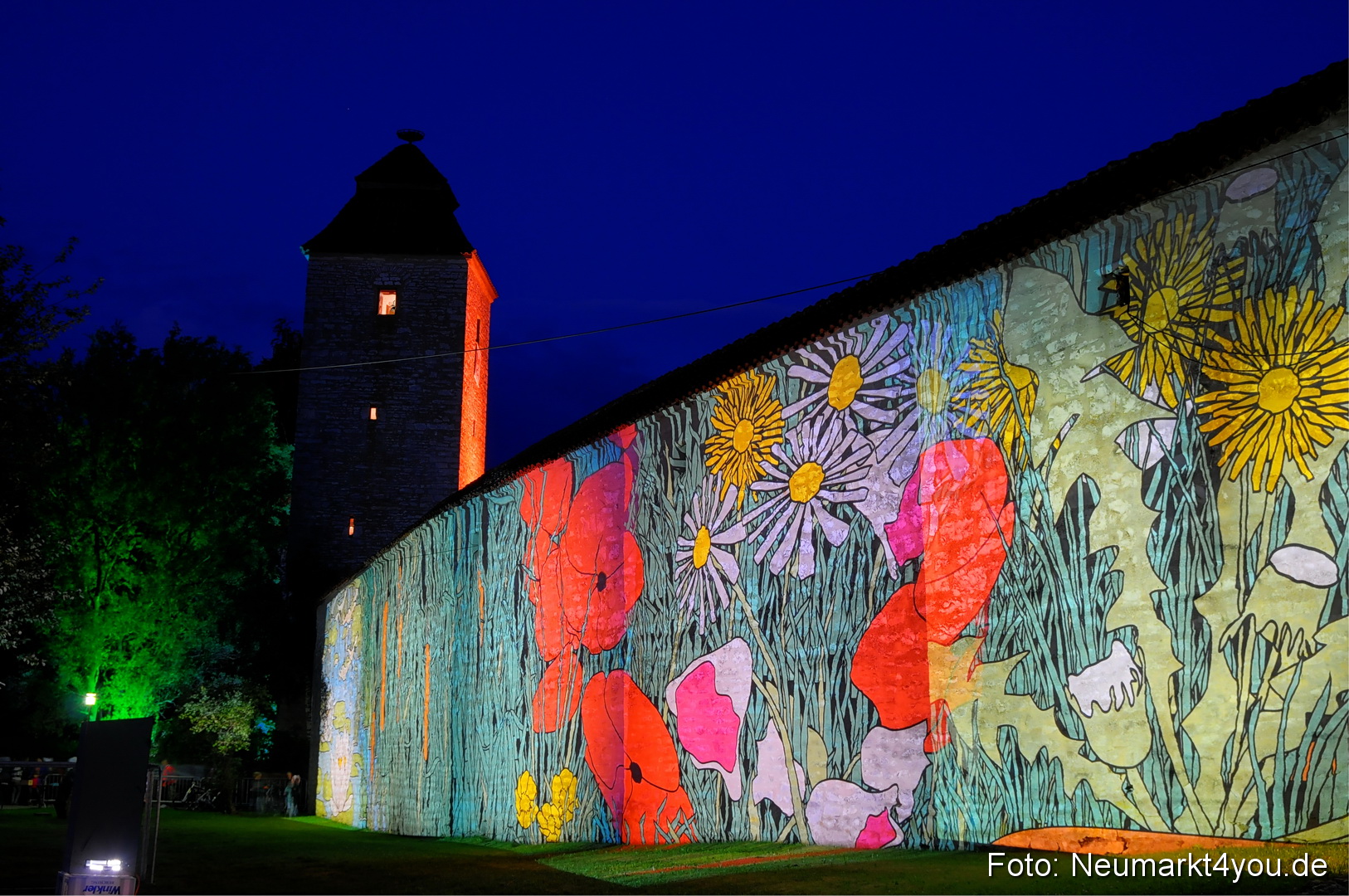 Berchinale Berching 300710 0059