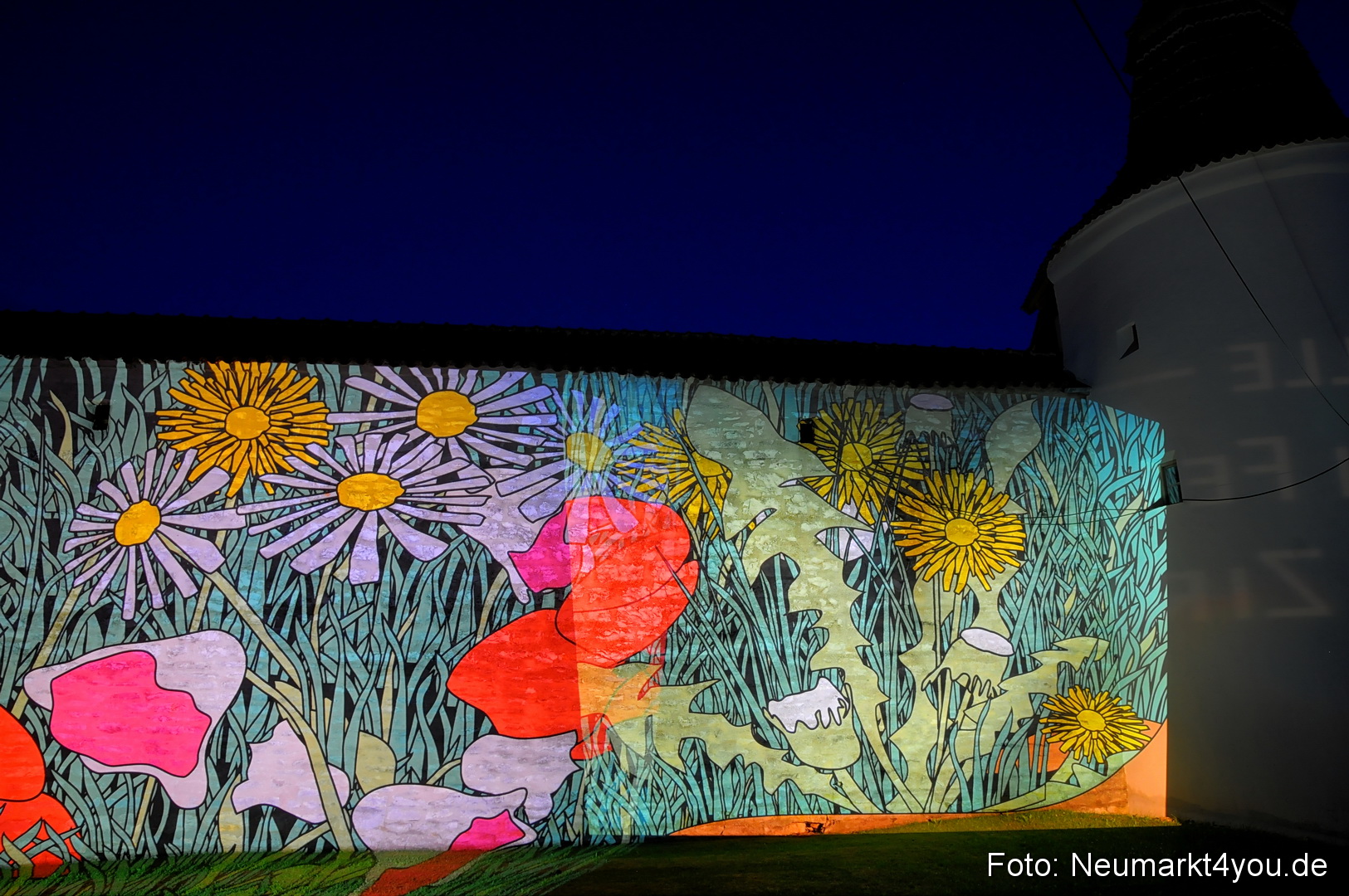 Berchinale Berching 300710 0060