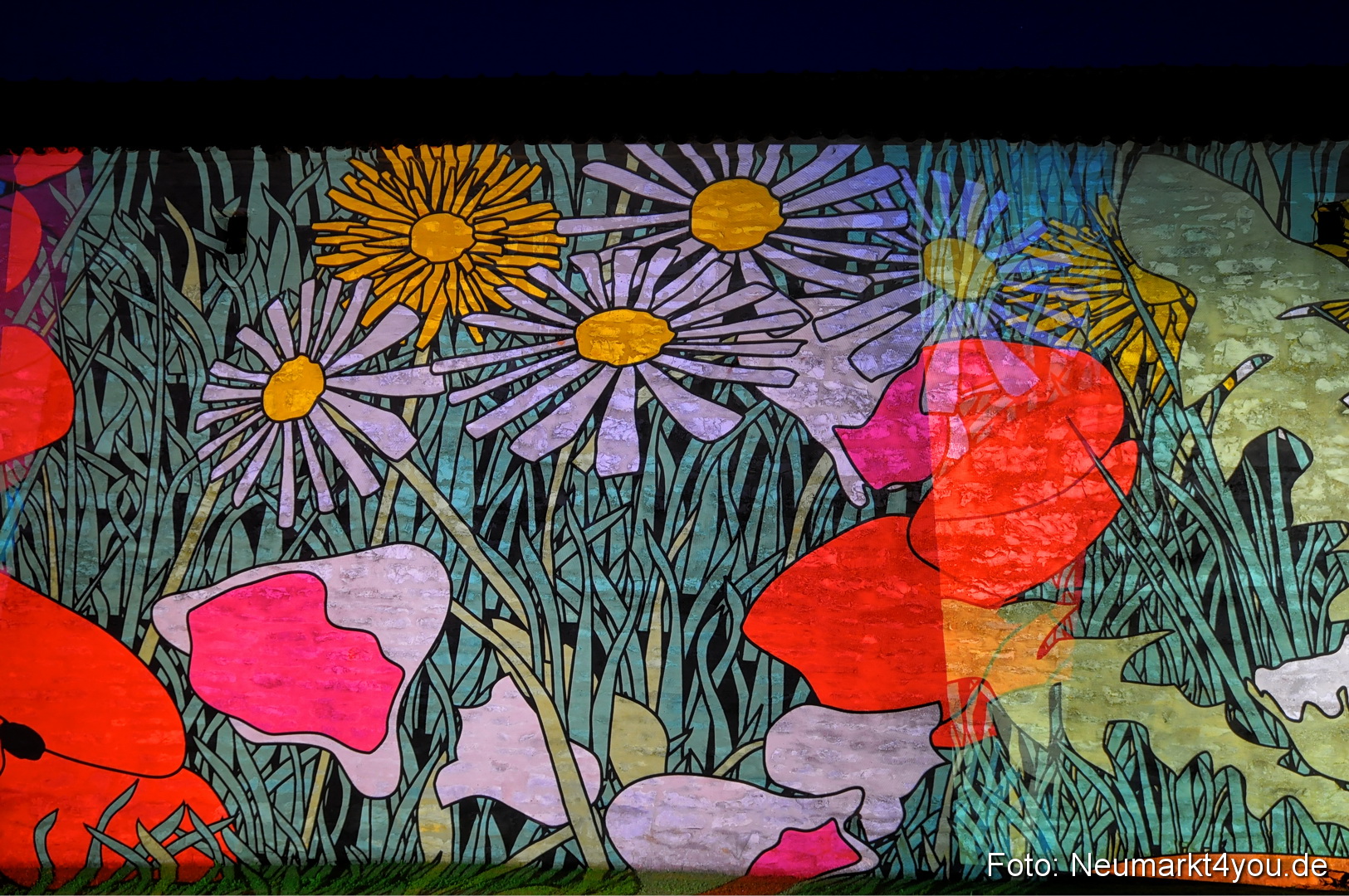 Berchinale Berching 300710 0061