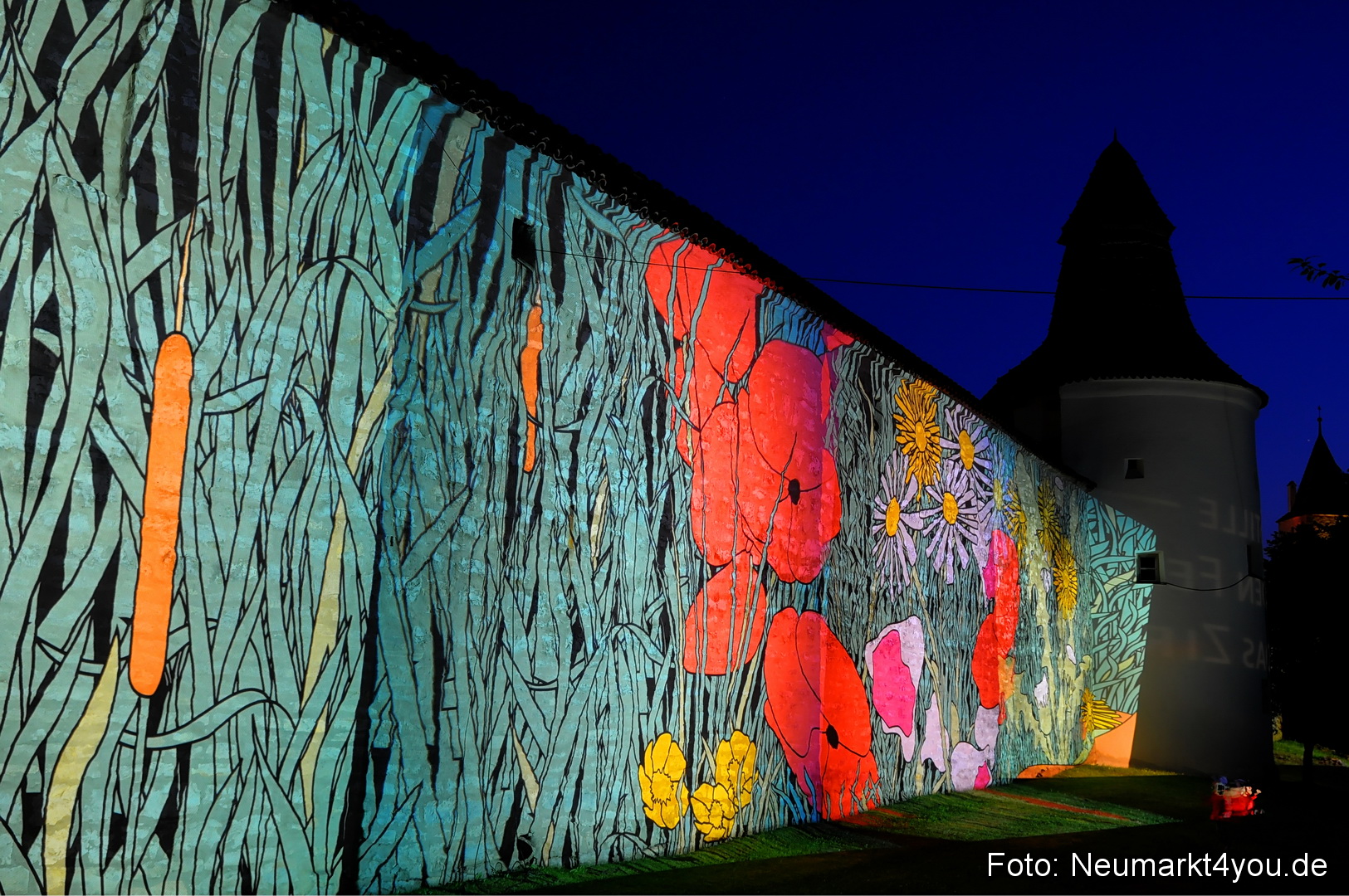 Berchinale Berching 300710 0062