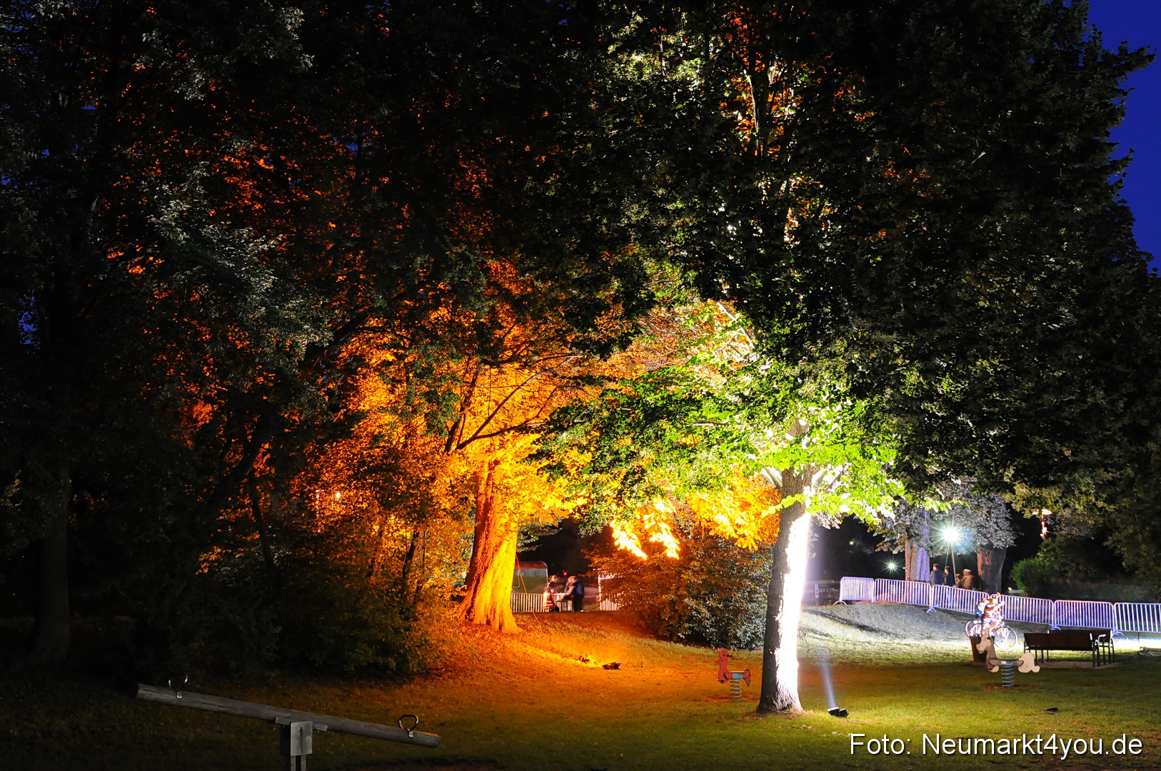 Berchinale Berching 300710 0065