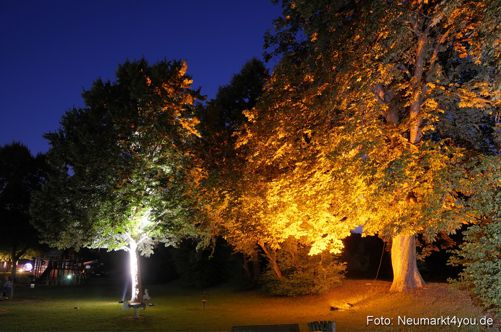 Berchinale Berching 300710 0068