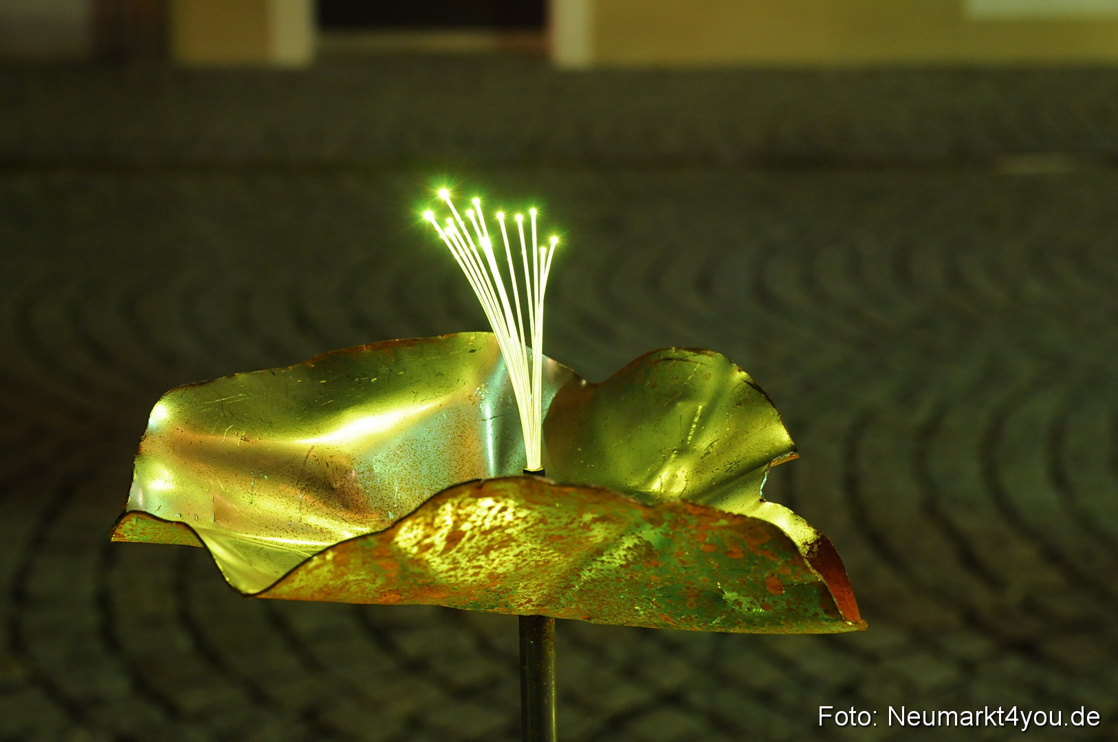 Berchinale Berching 300710 0085