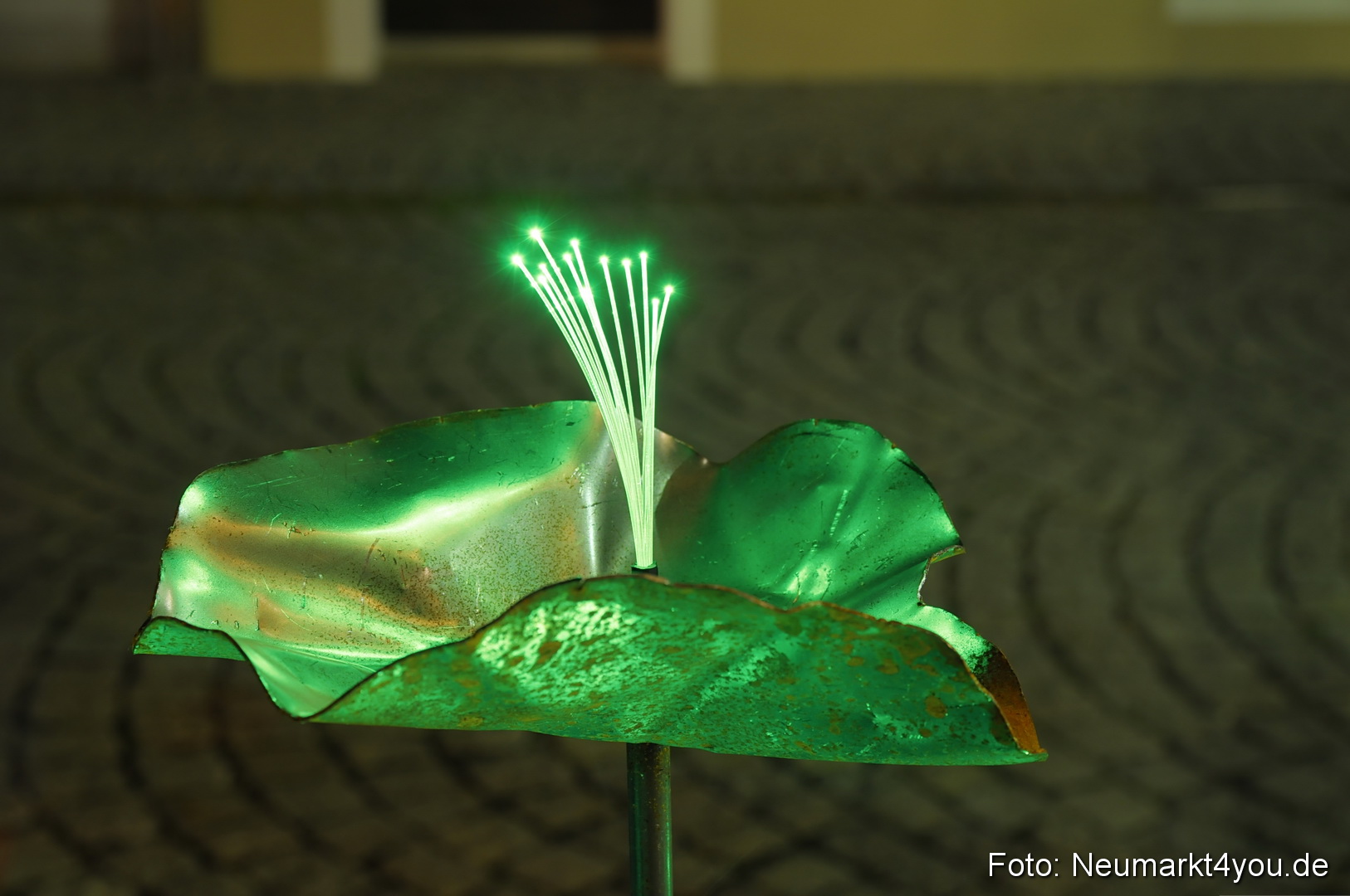 Berchinale Berching 300710 0086