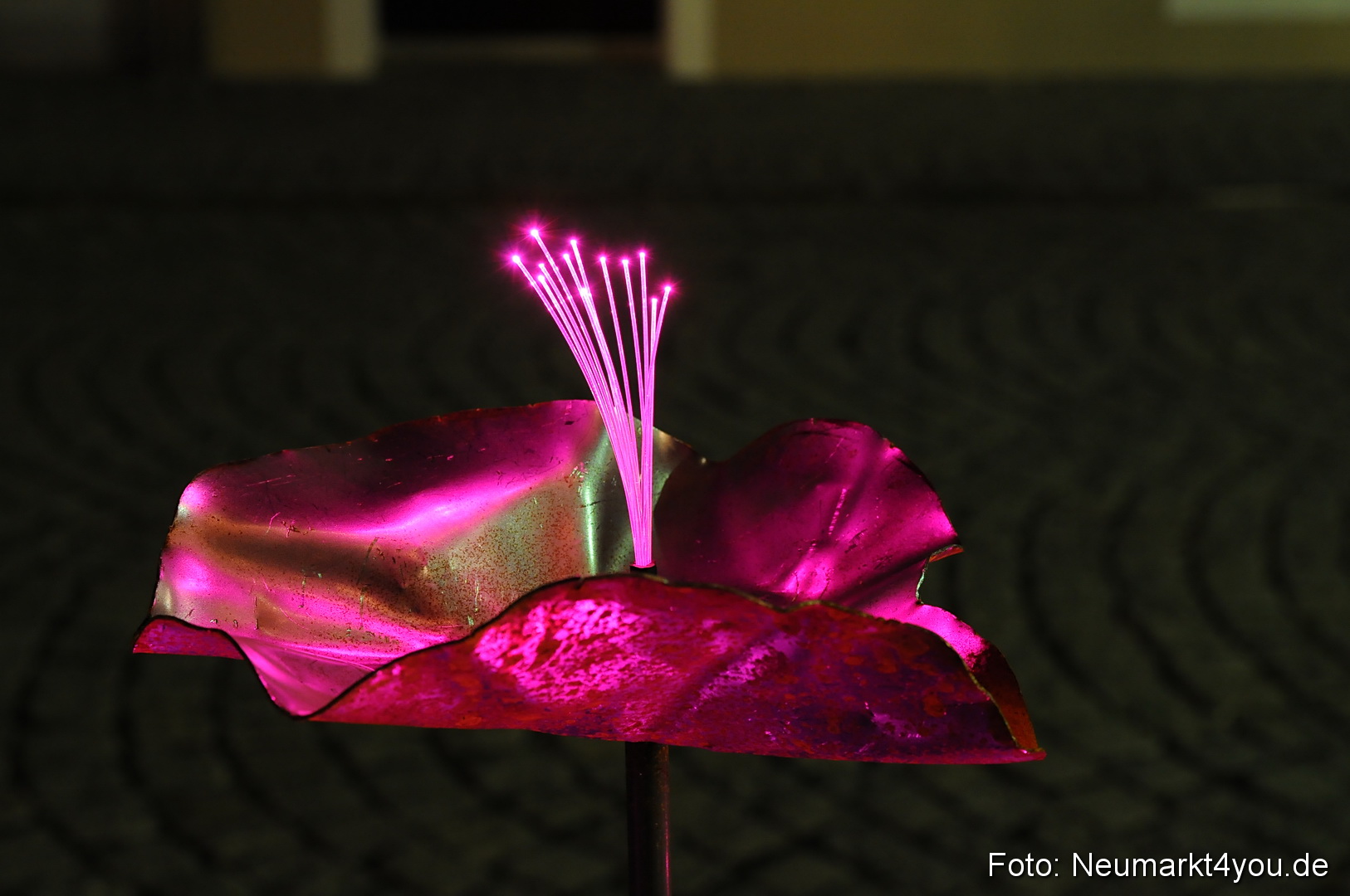 Berchinale Berching 300710 0087