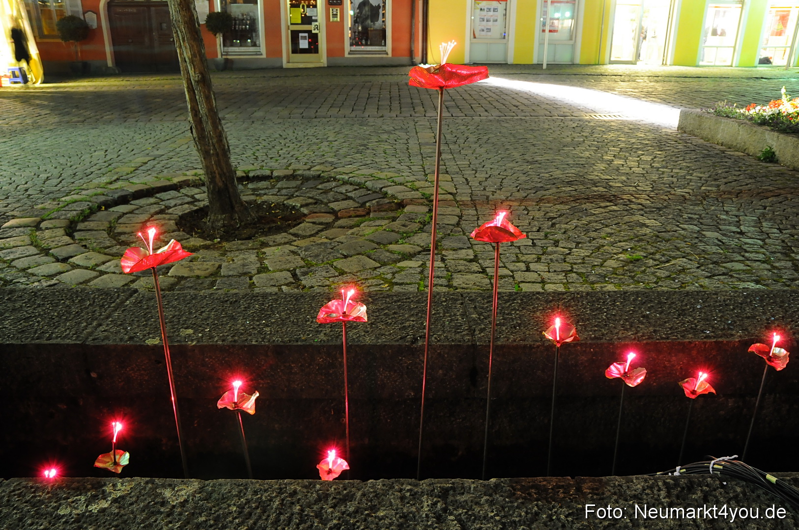 Berchinale Berching 300710 0088