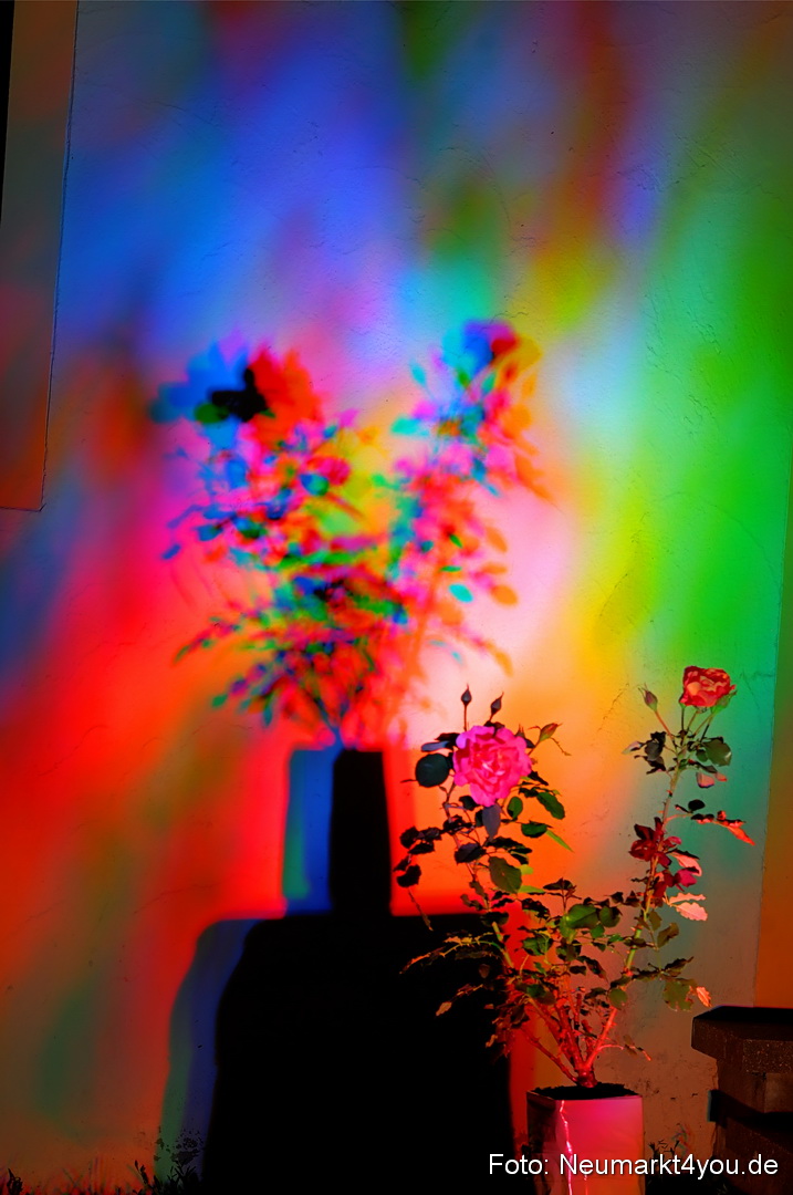 Berchinale Berching 300710 0101