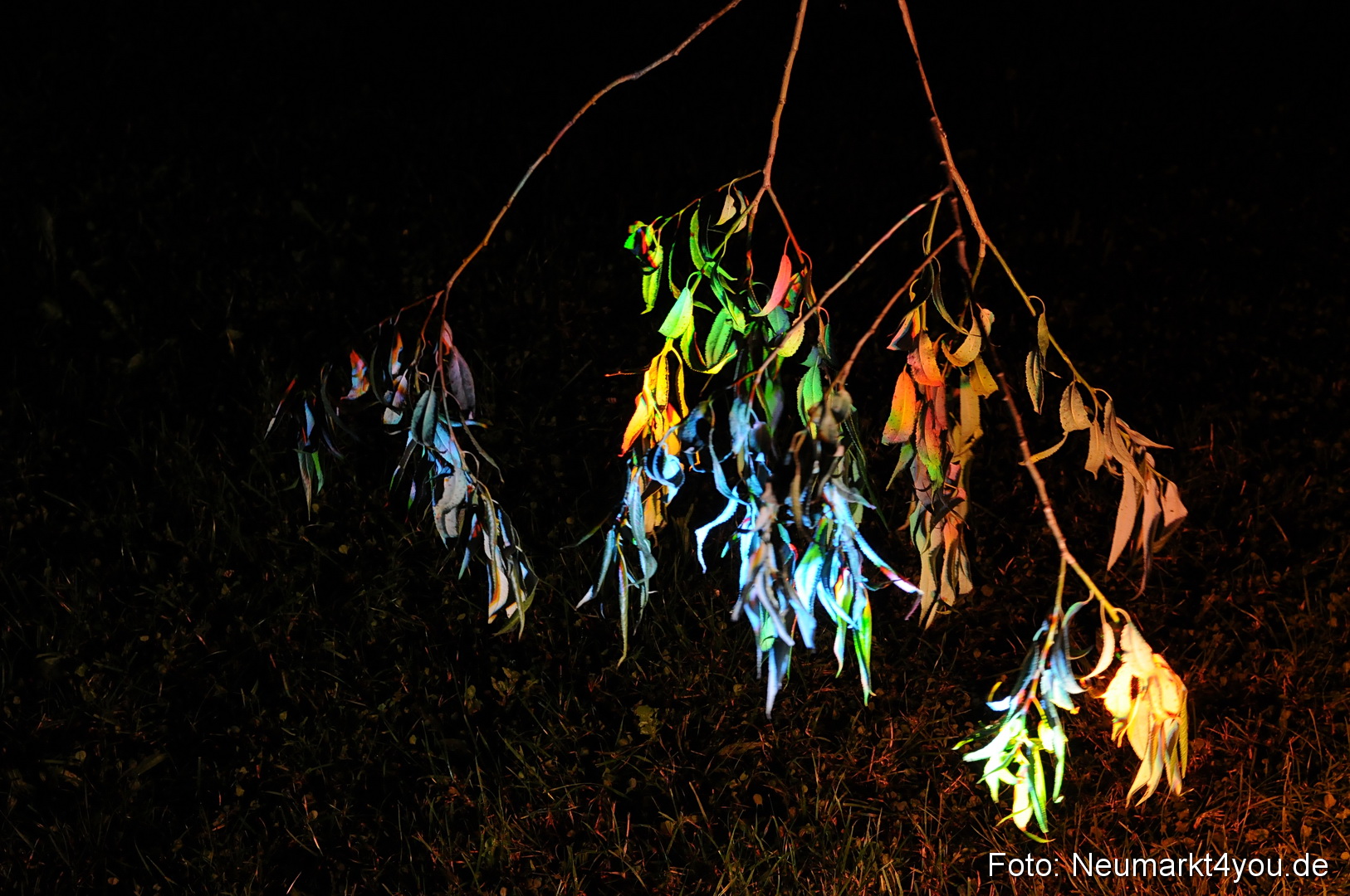 Berchinale Berching 300710 0102