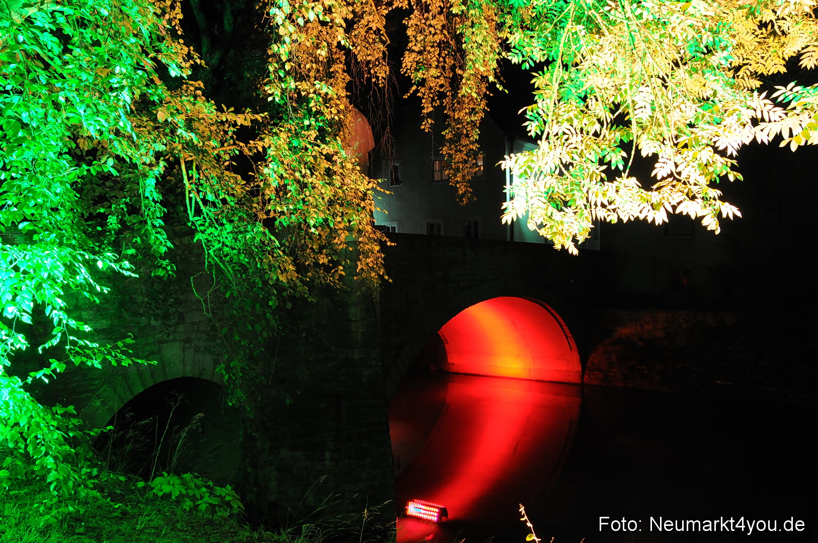 Berchinale Berching 300710 0110