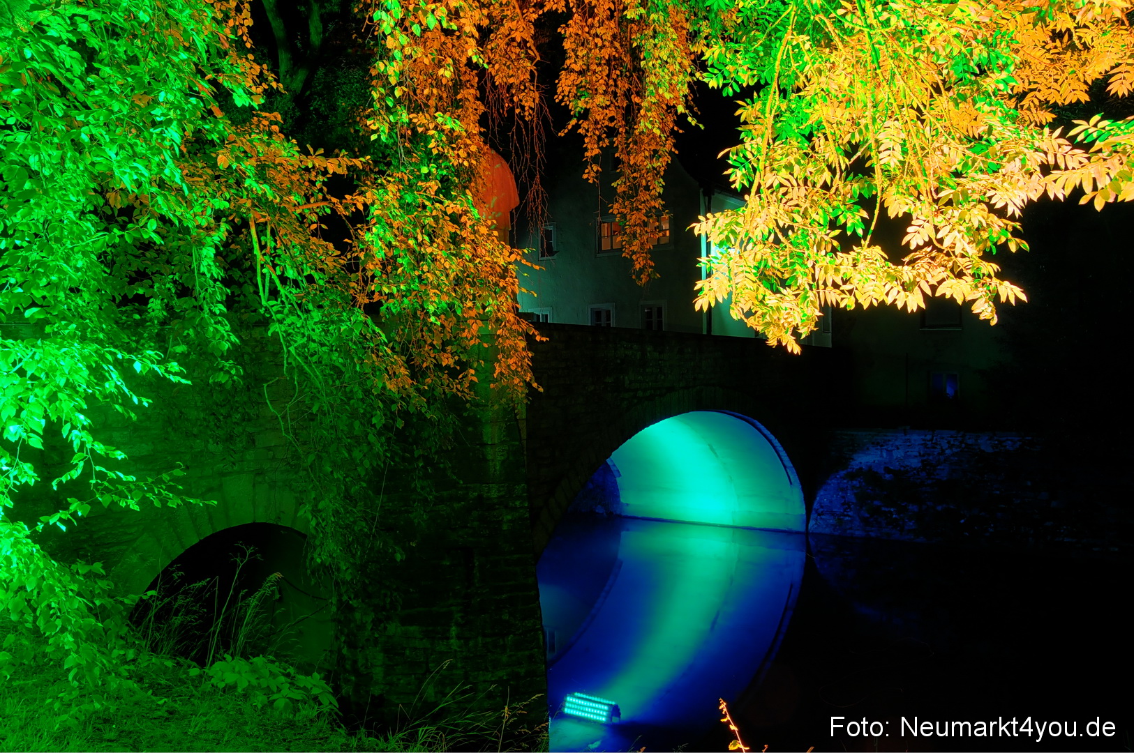 Berchinale Berching 300710 0111