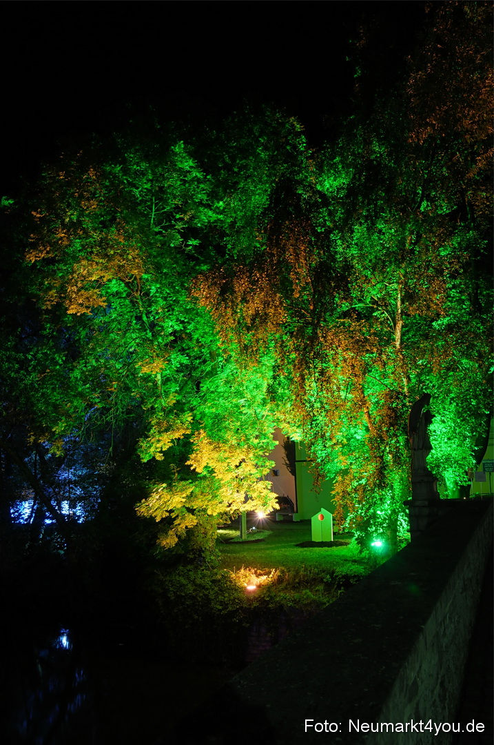 Berchinale Berching 300710 0120