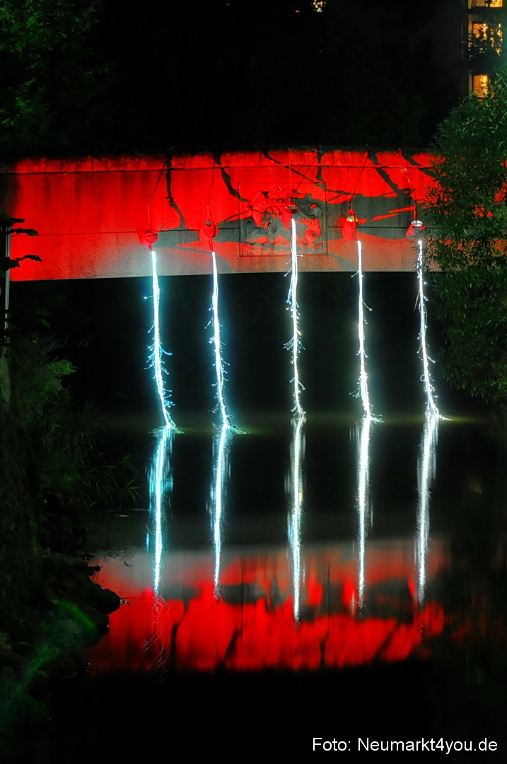 Berchinale Berching 300710 0122