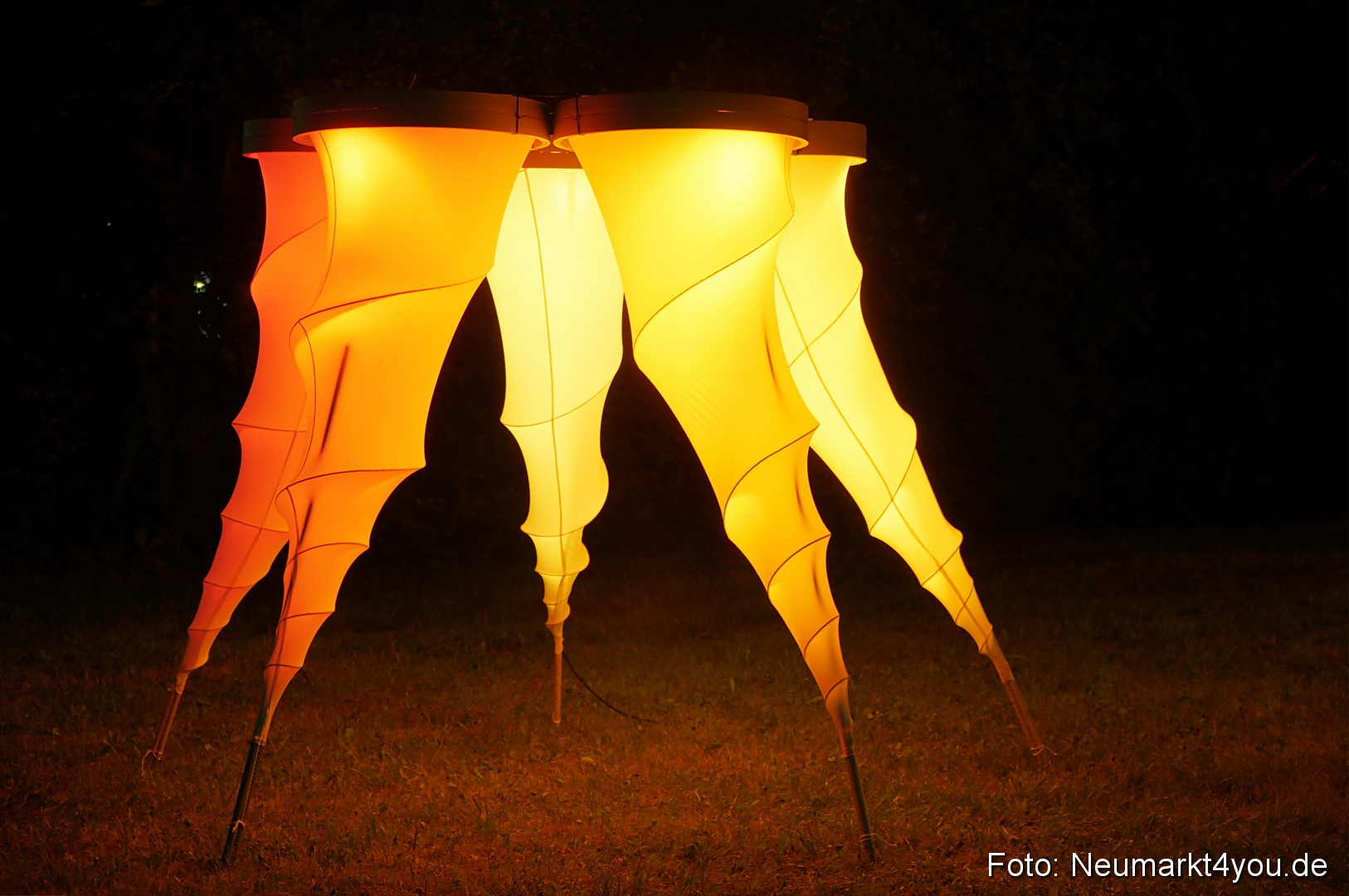 Berchinale Berching 300710 0126