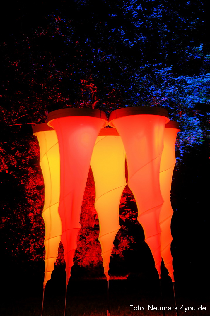 Berchinale Berching 300710 0127