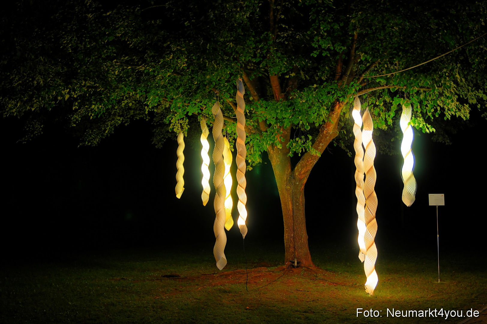 Berchinale Berching 300710 0131