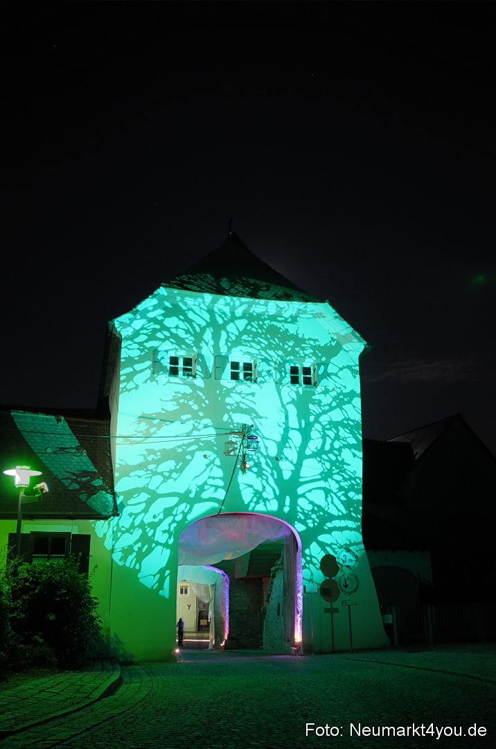 Berchinale Berching 300710 0136