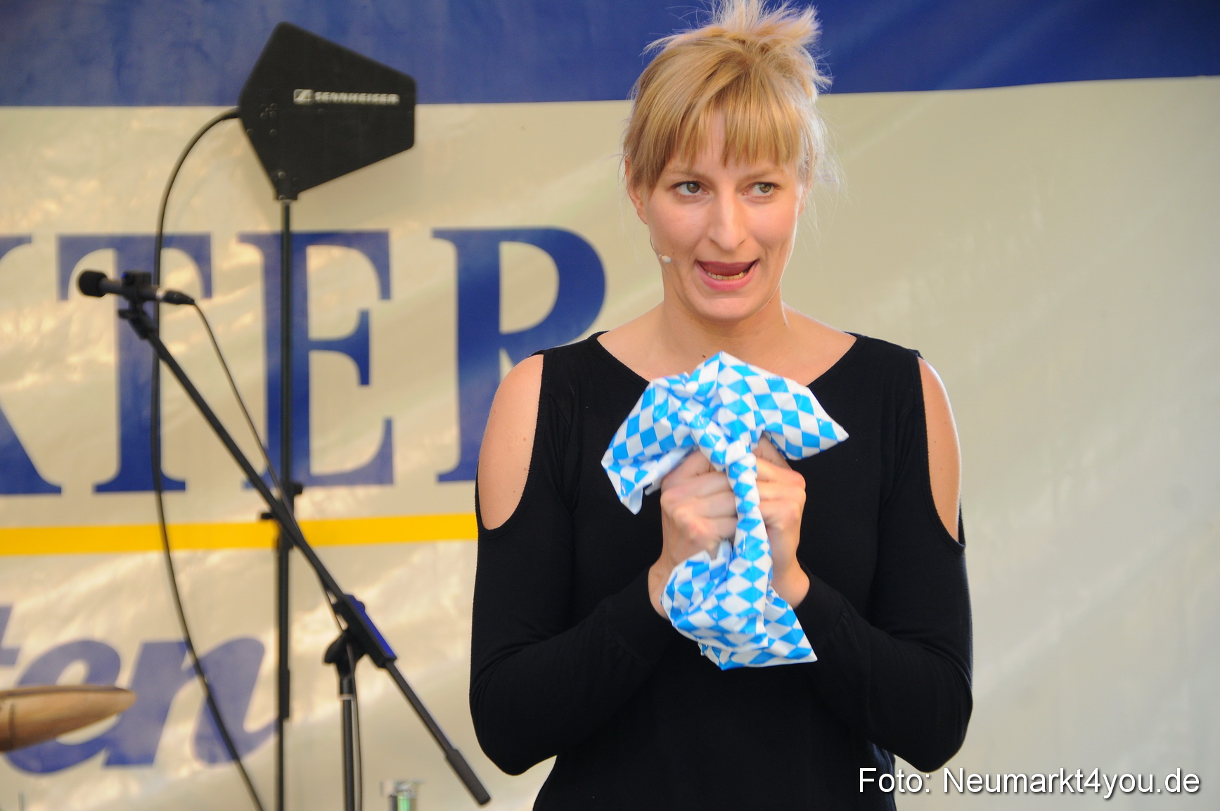 Wolfstein Burgruinenfest 260610 0011