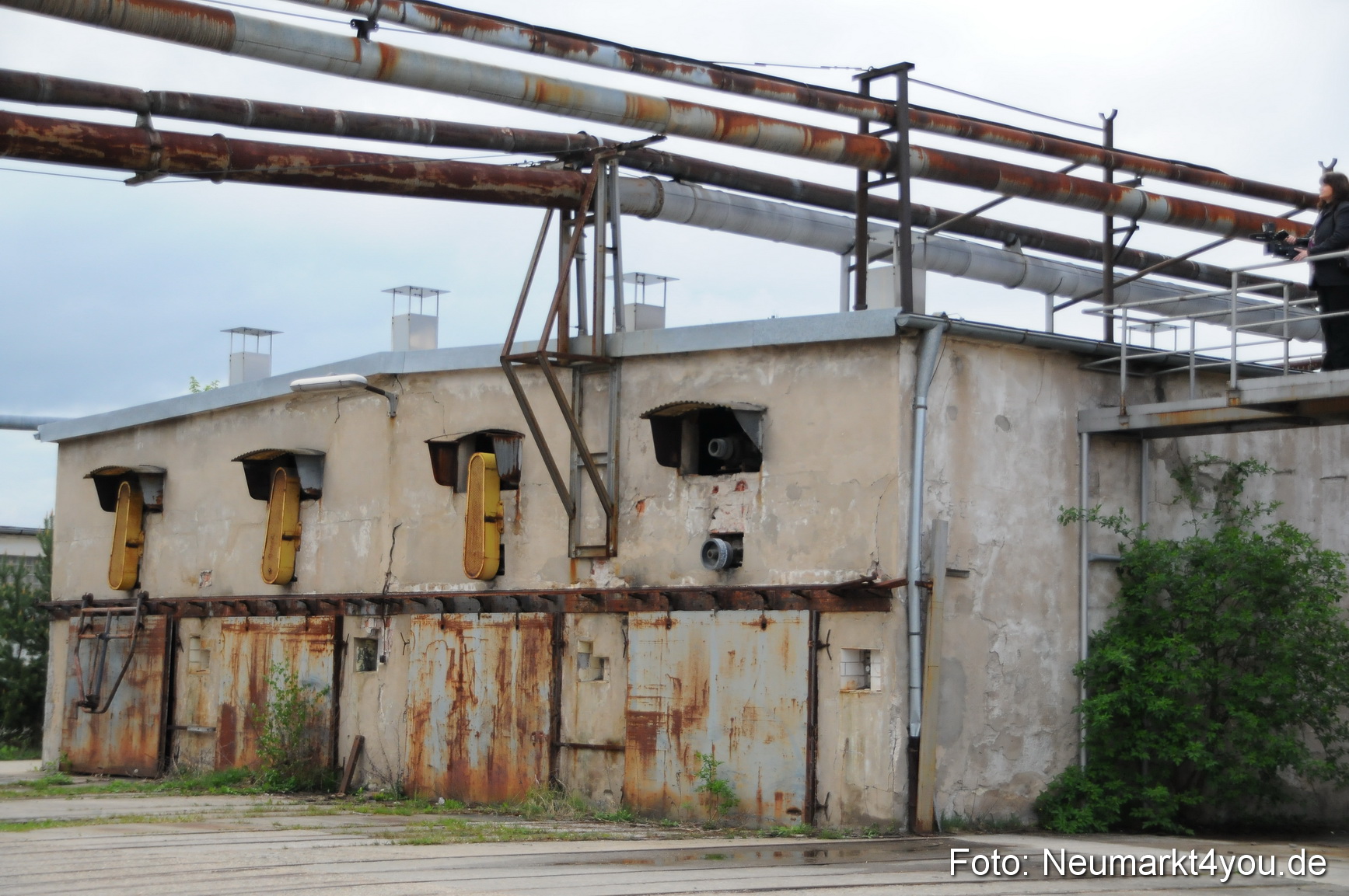 Rettungshunde Uebung 070510 0002