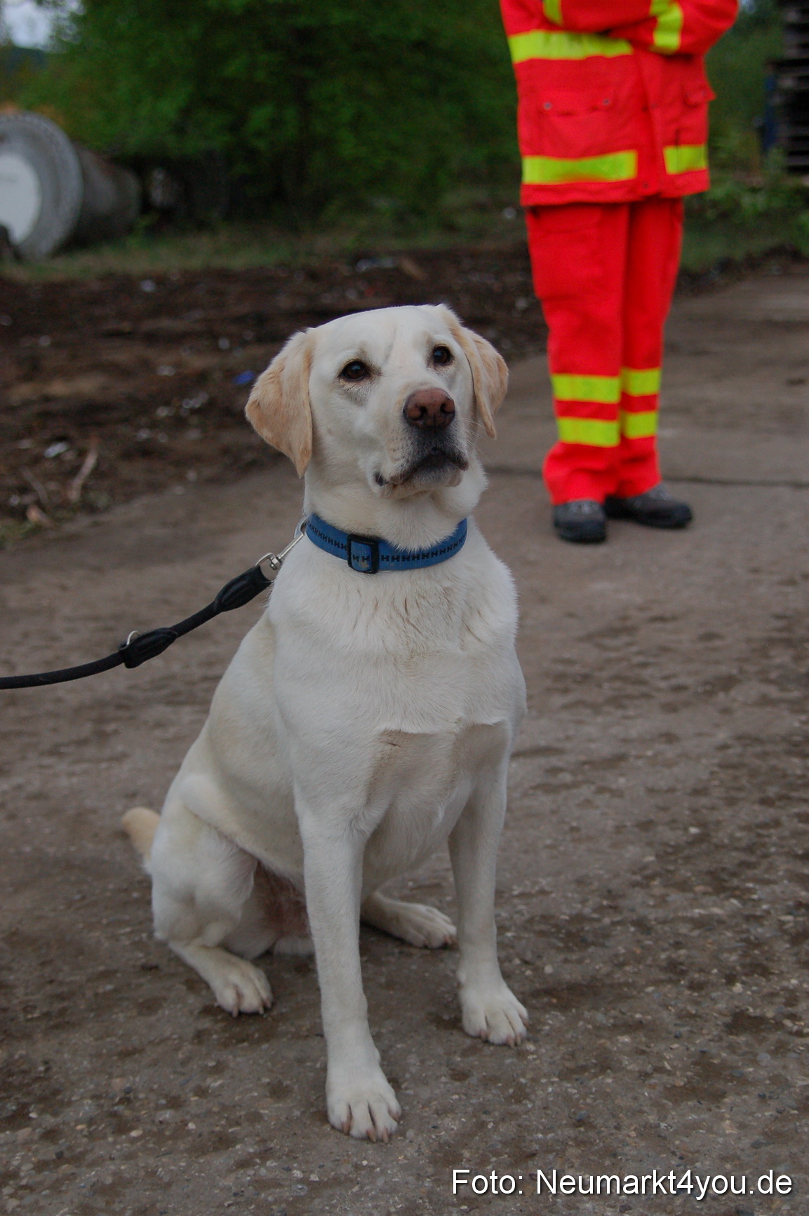 Rettungshunde Uebung 070510 0029