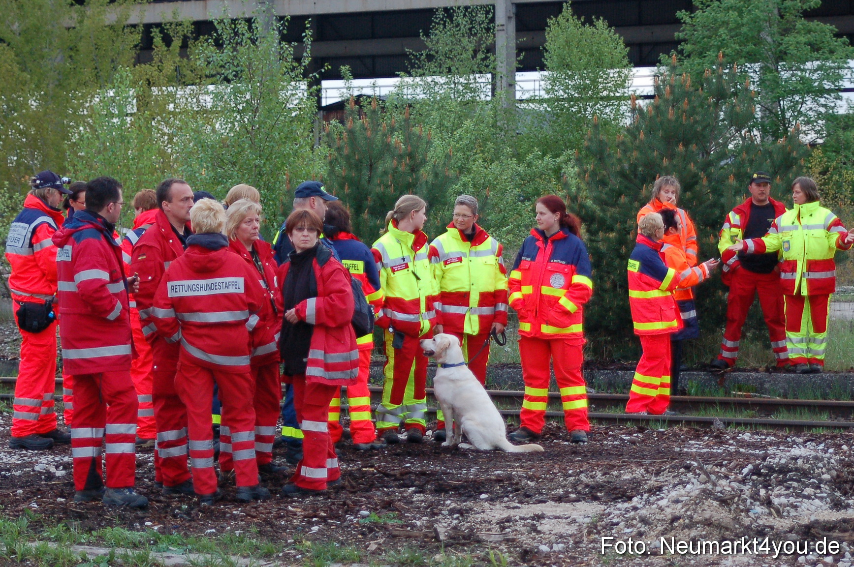 Rettungshunde Uebung 070510 0049