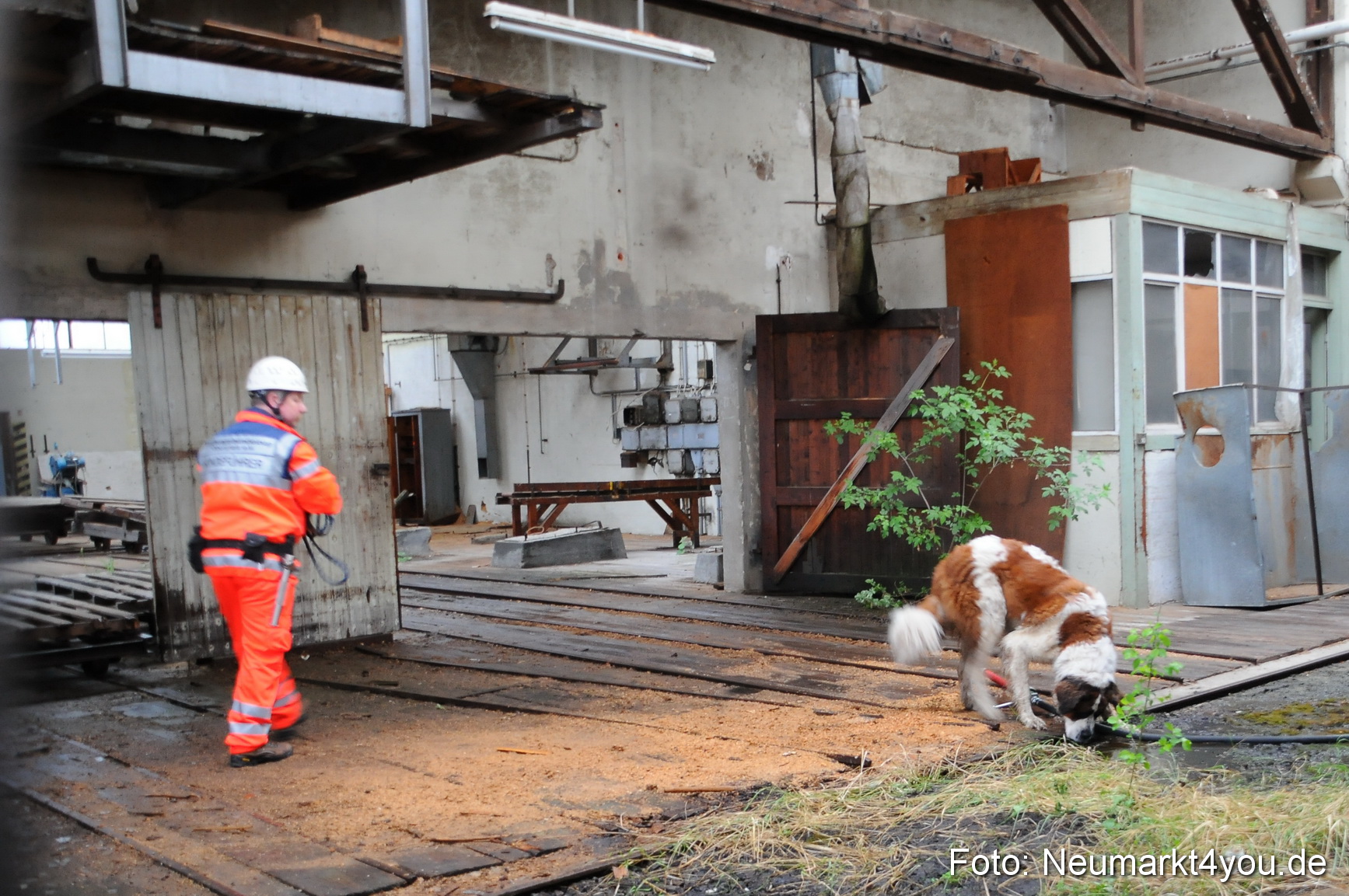 Rettungshunde Uebung 070510 0057