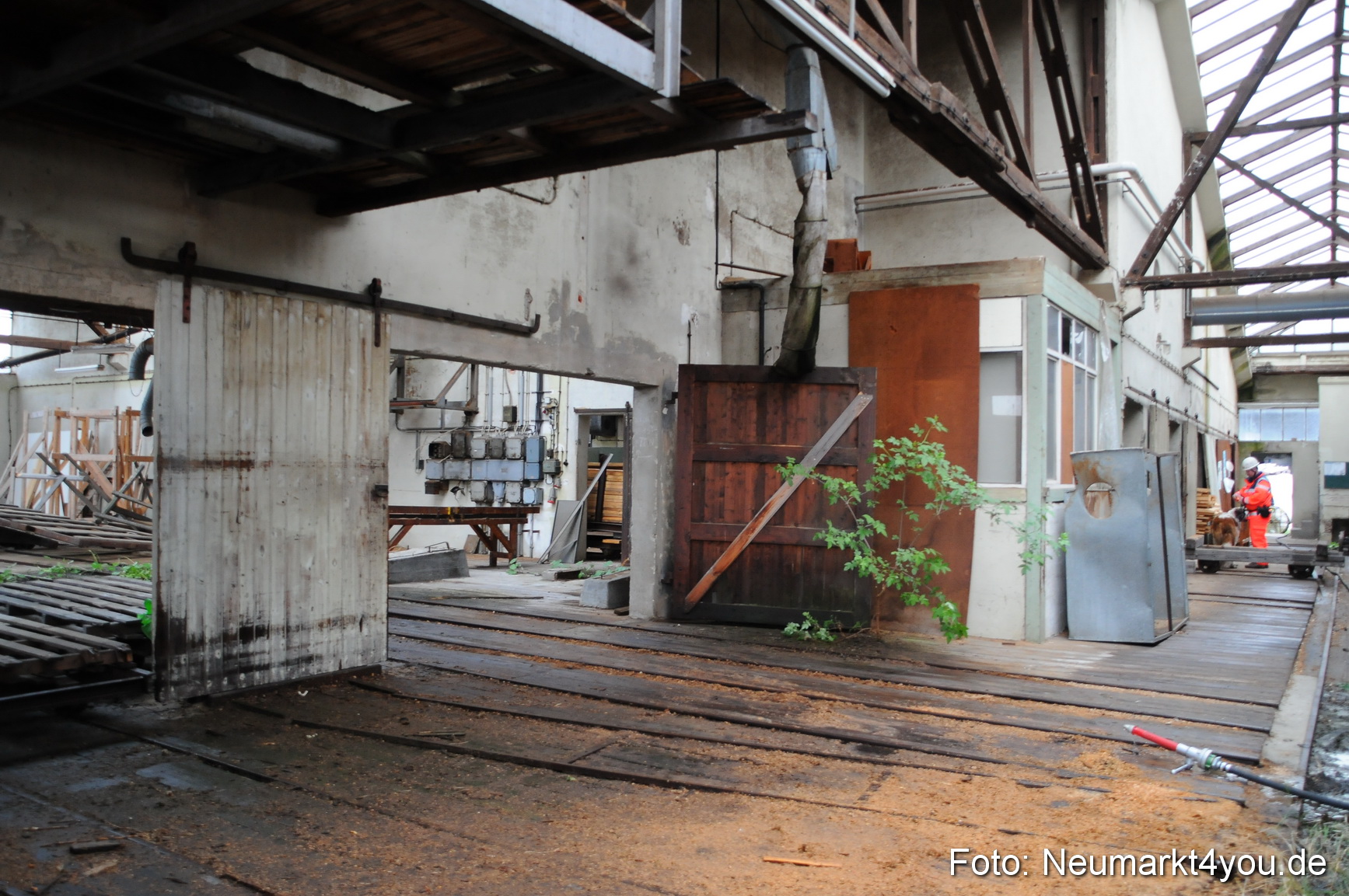 Rettungshunde Uebung 070510 0069