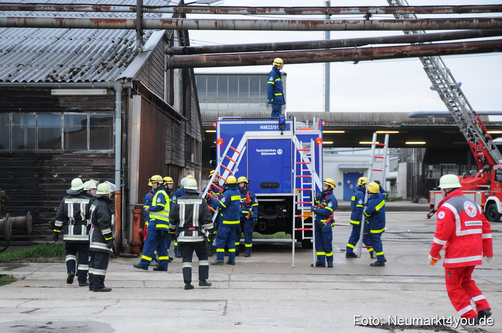 Rettungshunde Uebung 070510 0081