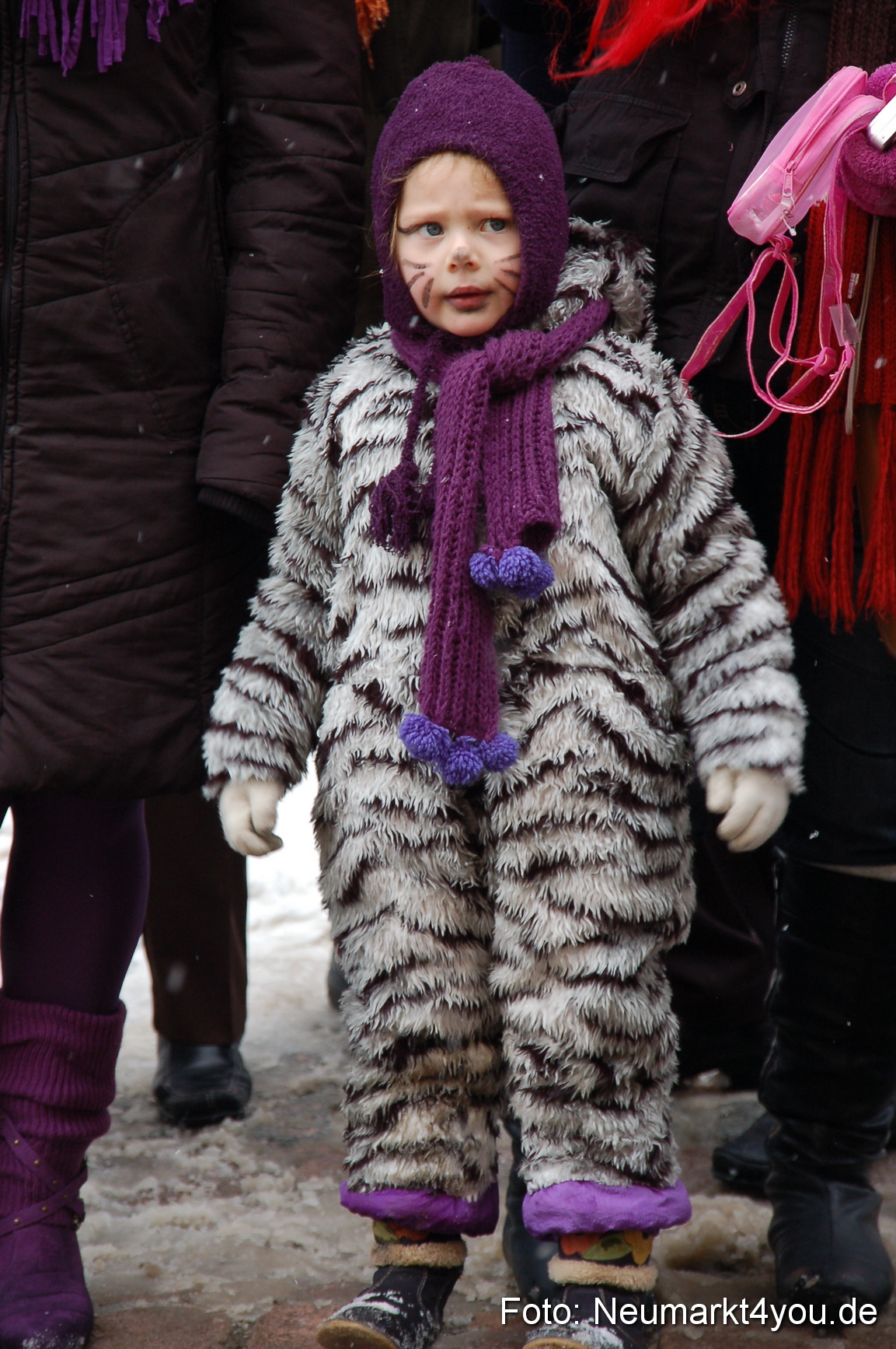 Faschingszug Berching 140210 0030