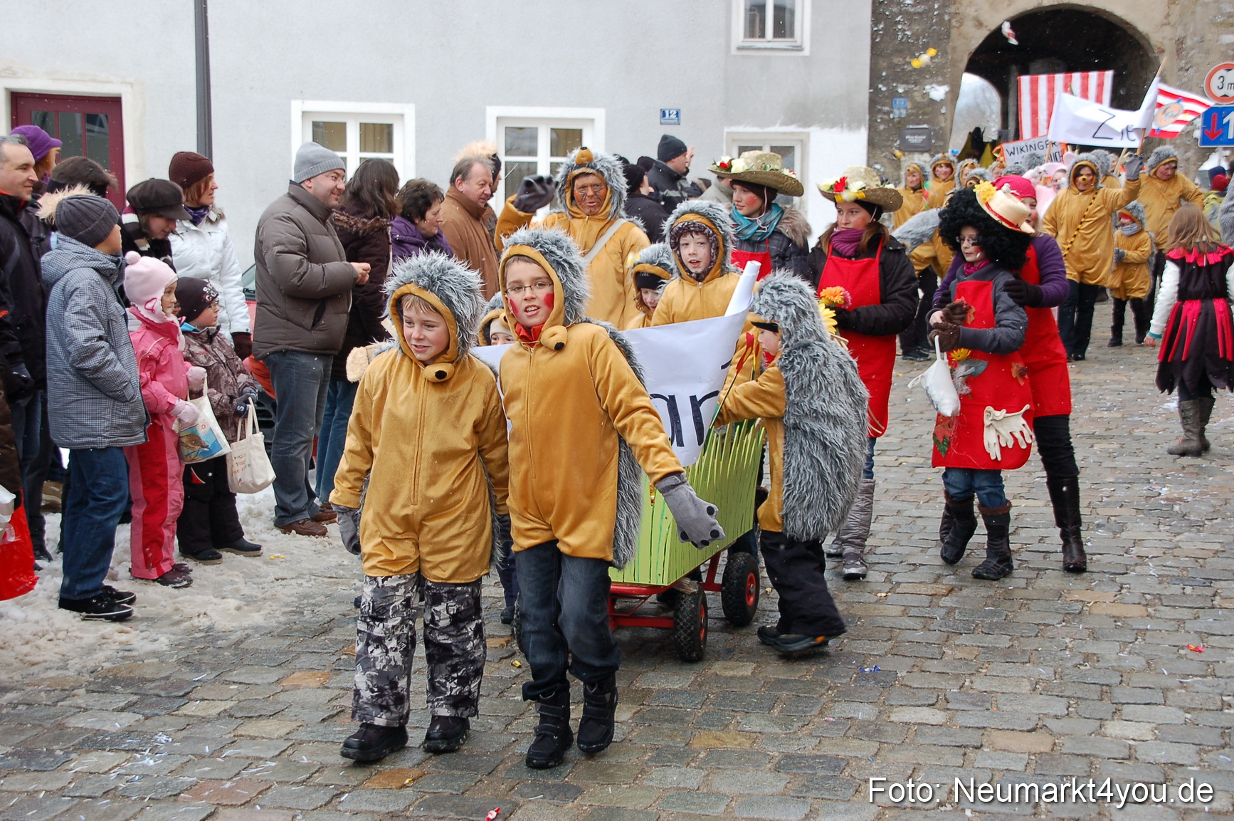 Faschingszug Berching 140210 0077