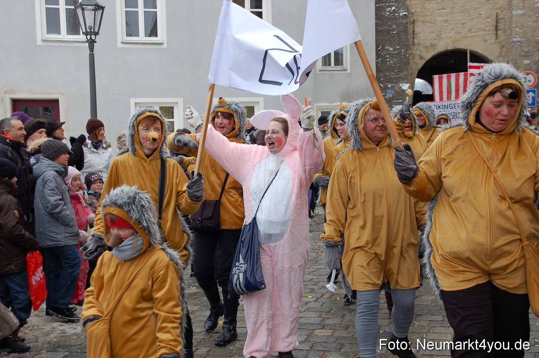 Faschingszug Berching 140210 0081