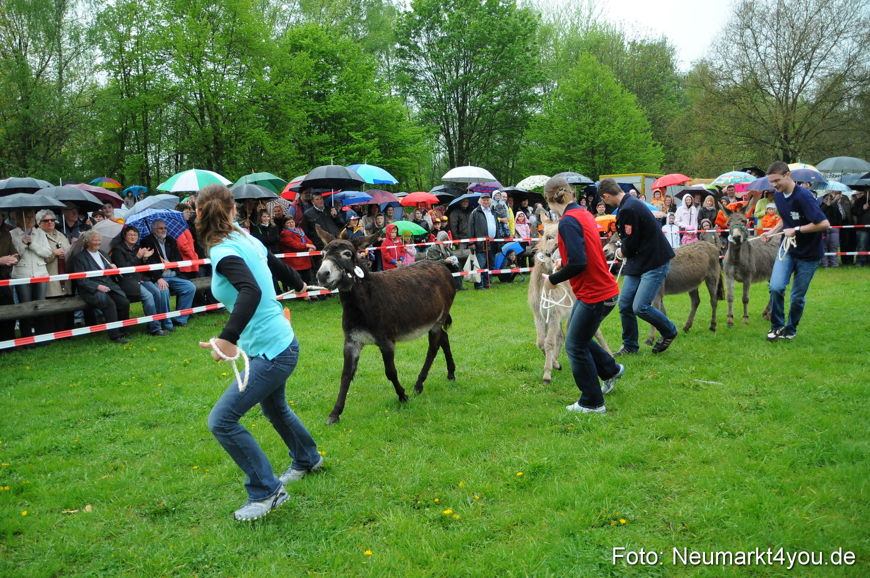 Eselrennen Neumarkt 020510 0005