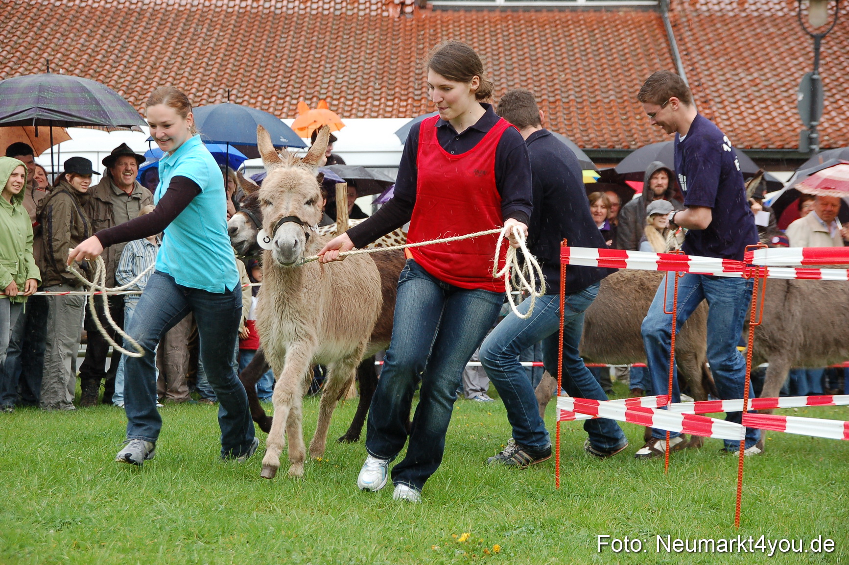 Eselrennen Neumarkt 020510 0006