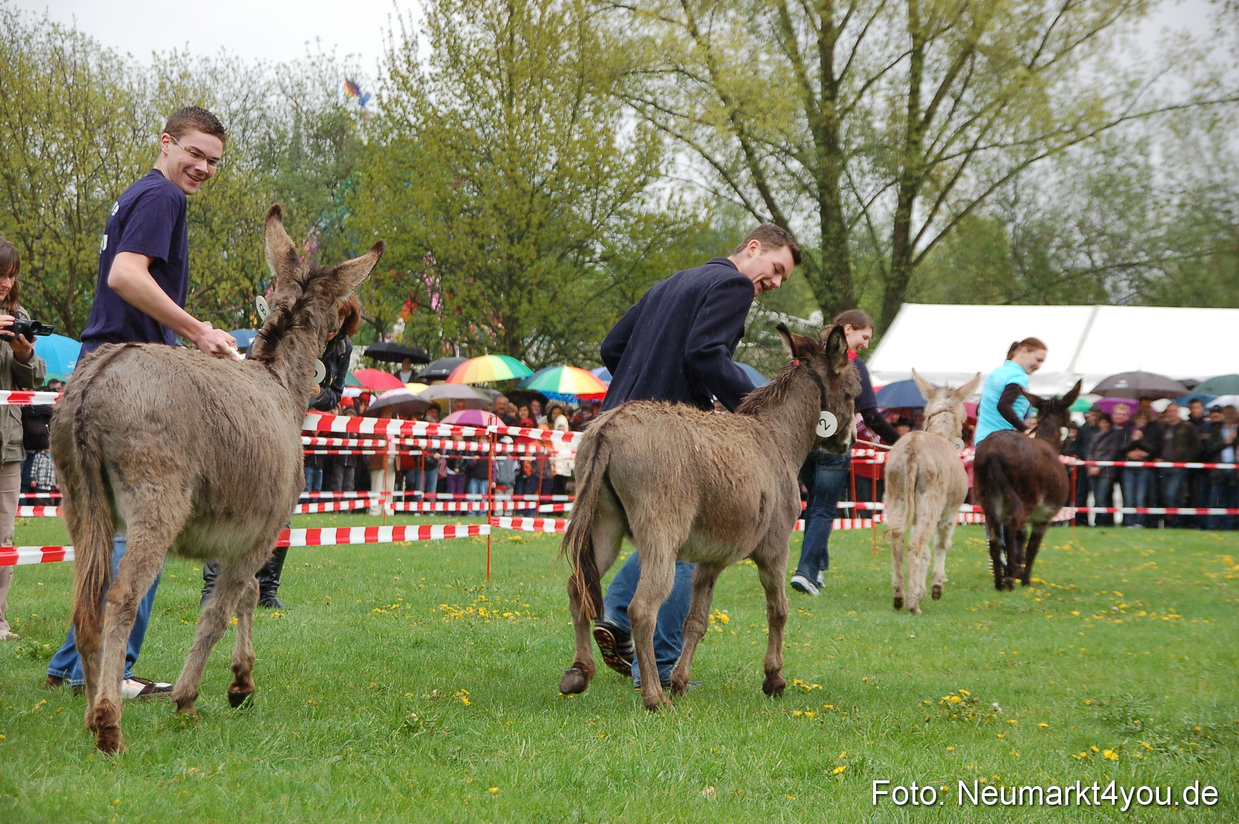 Eselrennen Neumarkt 020510 0007