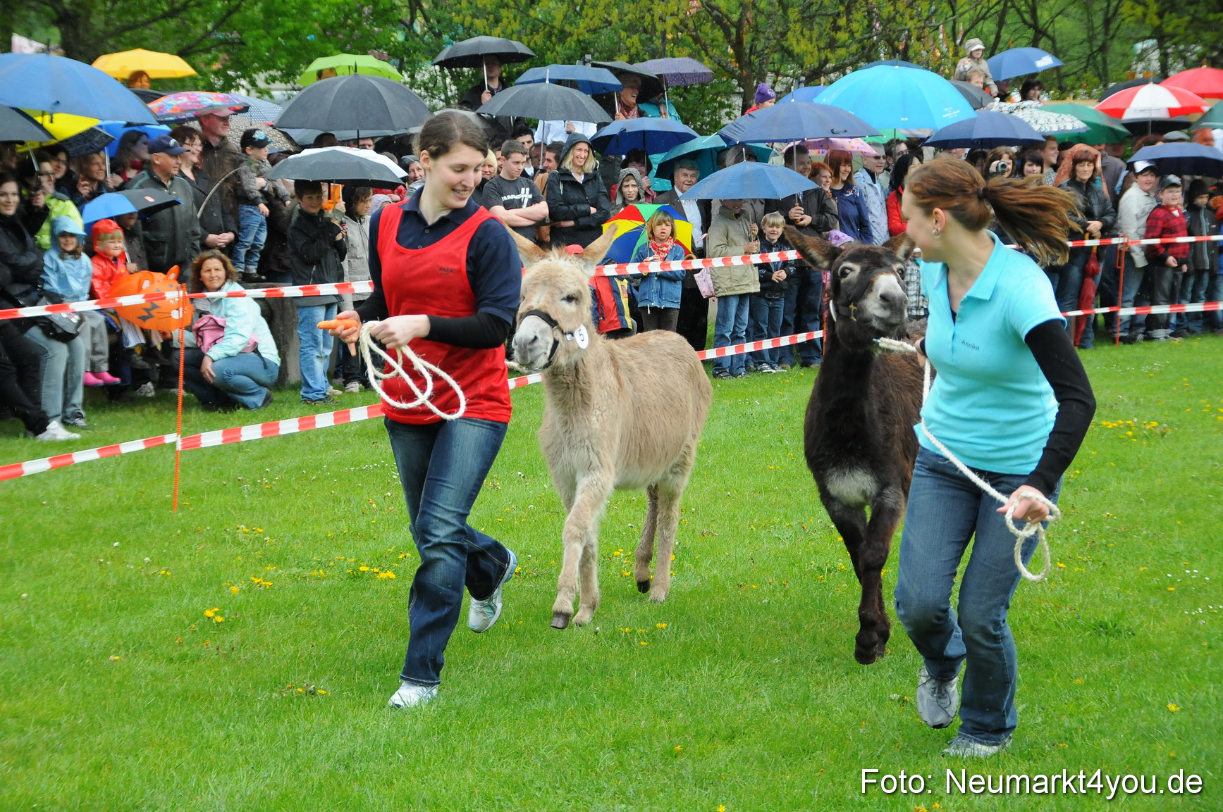 Eselrennen Neumarkt 020510 0008
